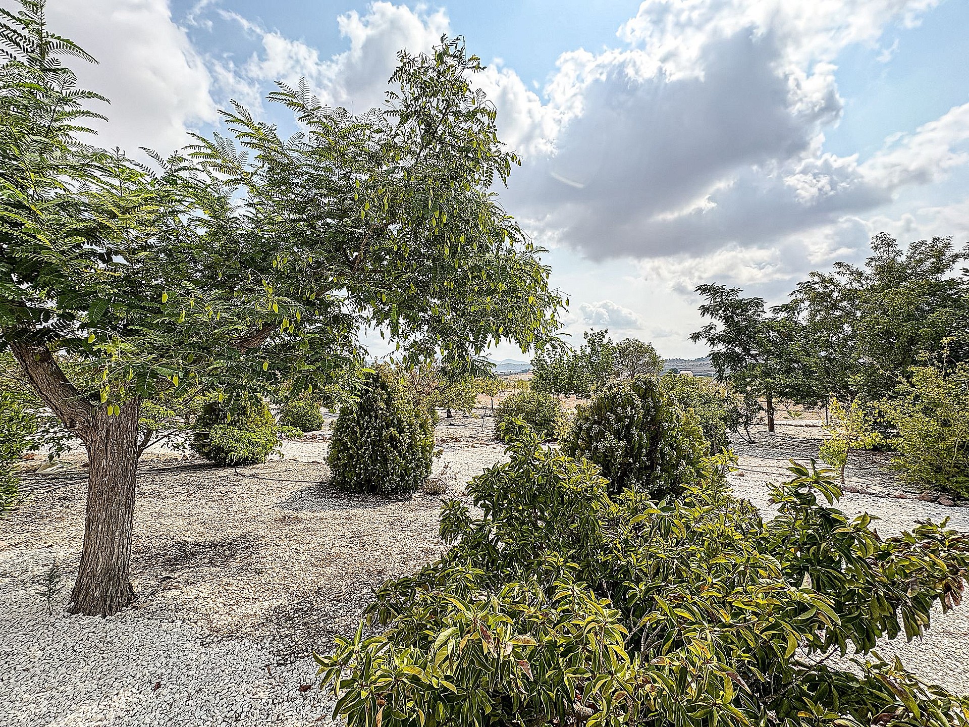 Sold - 5 Bedroom 4 Bathroom Villa in Pinoso -  - Alicante