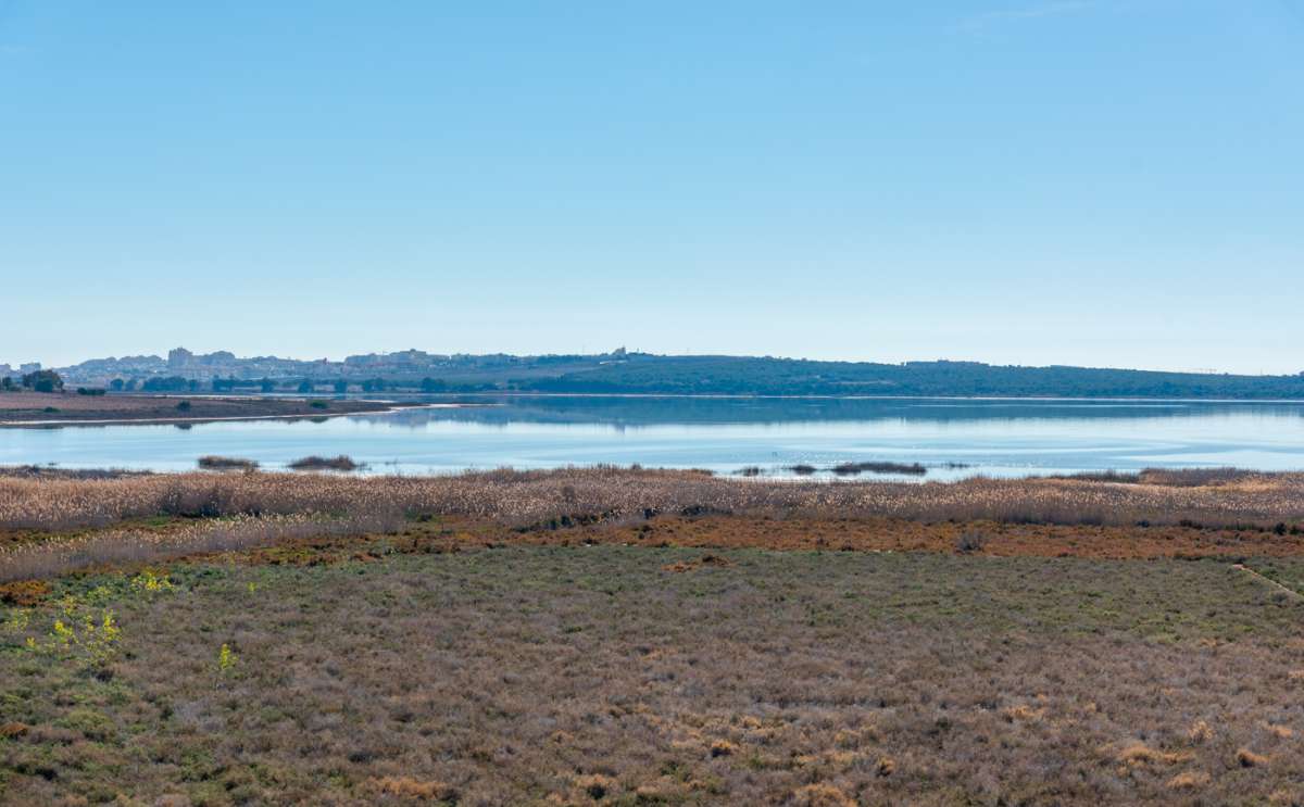 Resale - 2 Bedroom 2 Bathroom Apartment in El Raso -  - Alicante