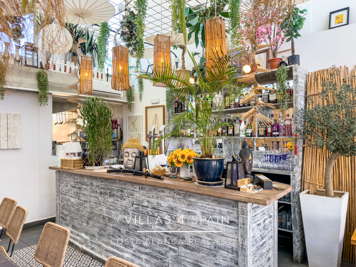 Resale - Business for sale / transfer in Ciudad Quesada High street - avda. de las naciones - Alicante