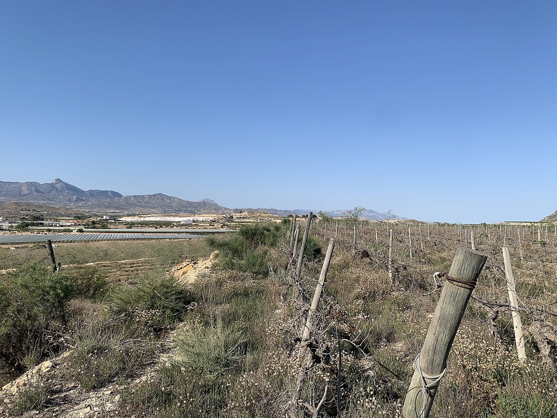 Resale - Land in Monforte Del Cid -  - Alicante