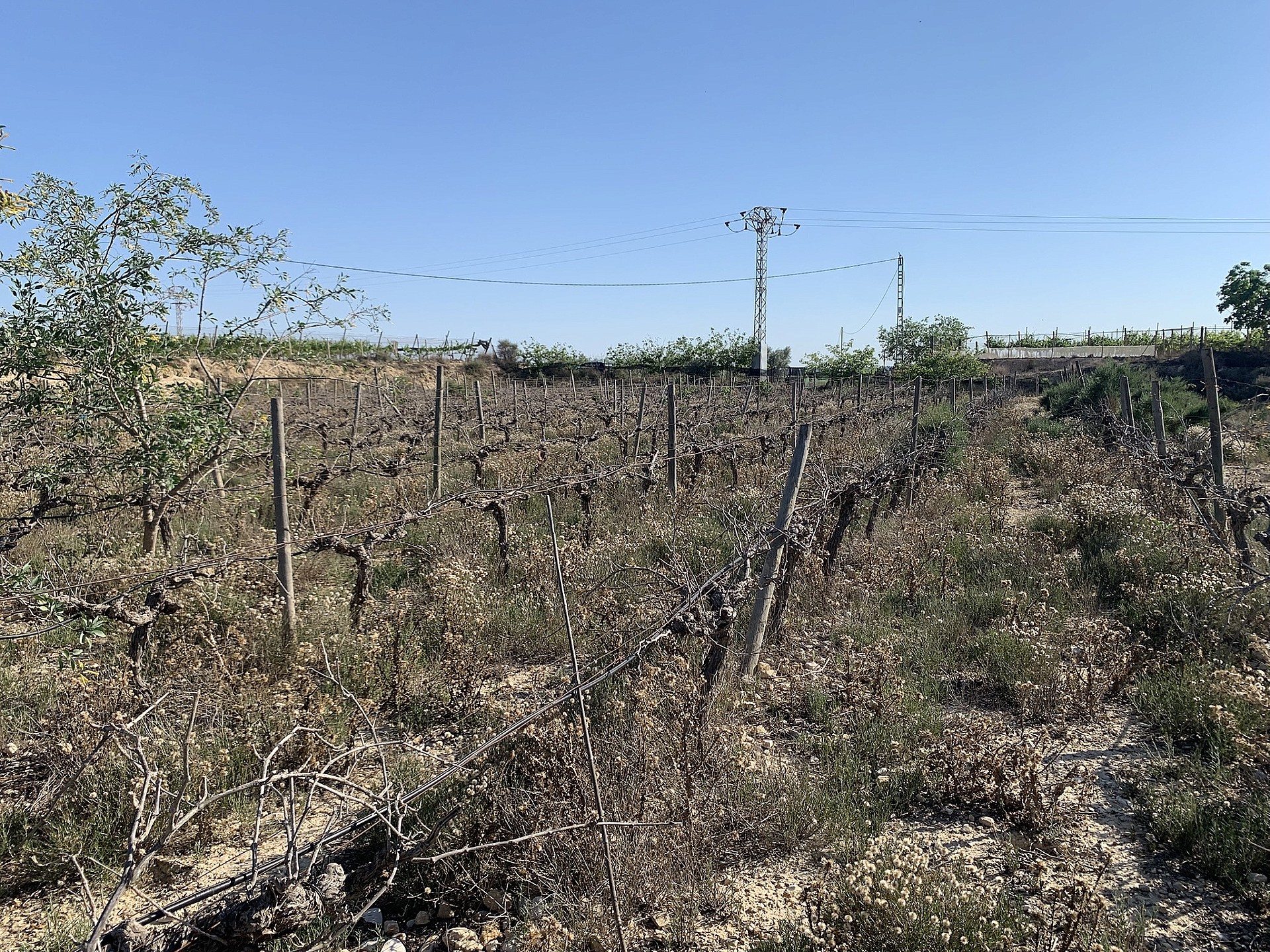 Resale - Land in Monforte Del Cid -  - Alicante