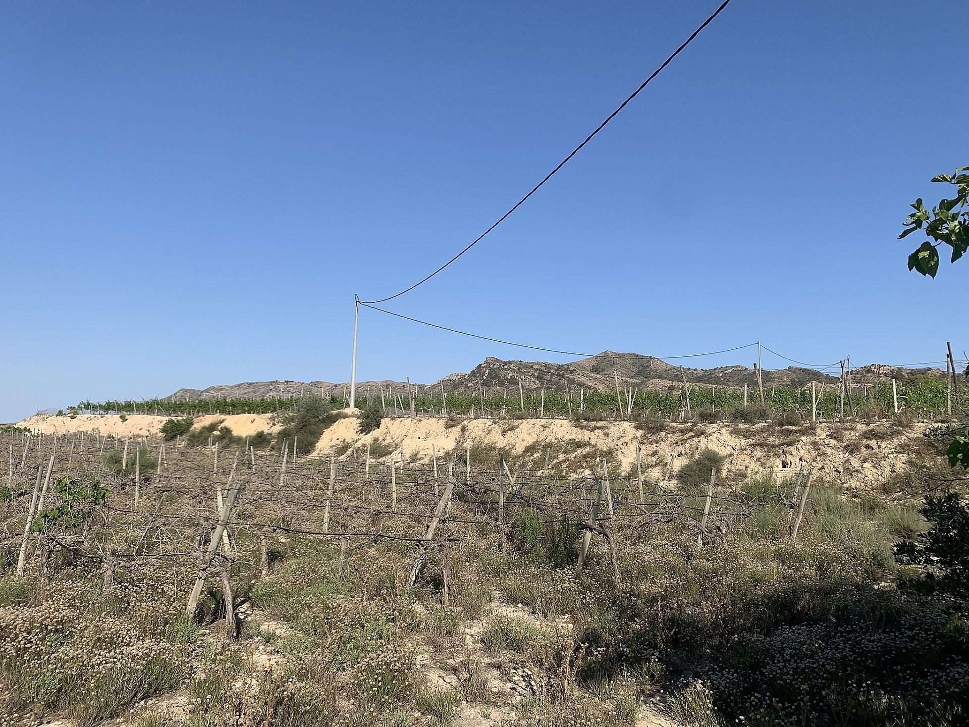 Resale - Land in Monforte Del Cid -  - Alicante