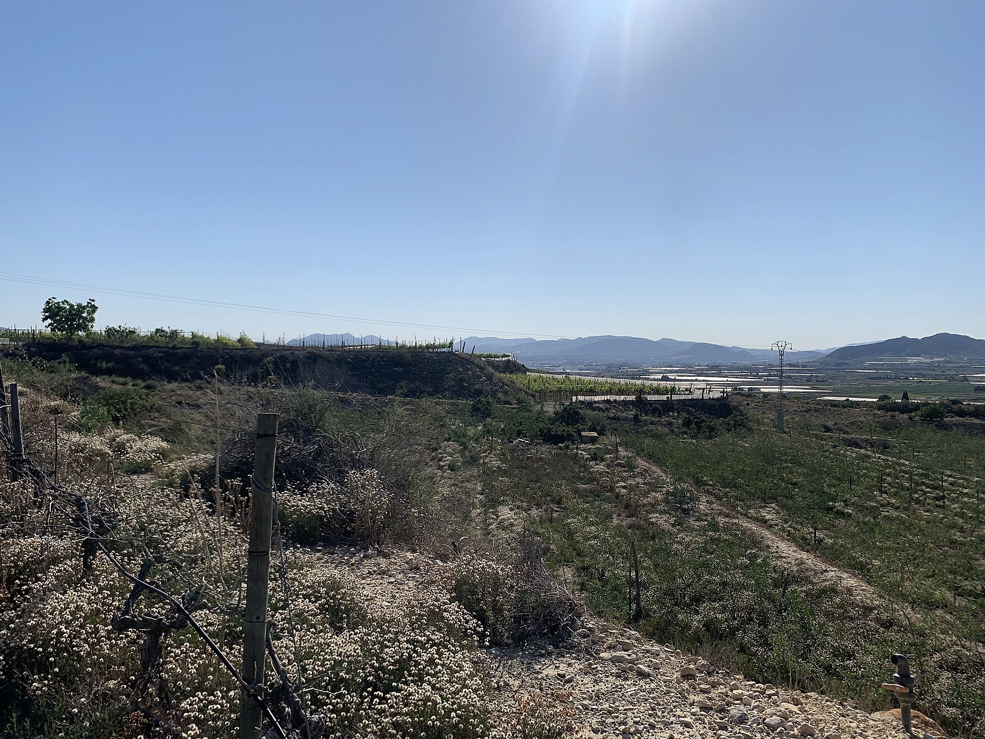Resale - Land in Monforte Del Cid -  - Alicante