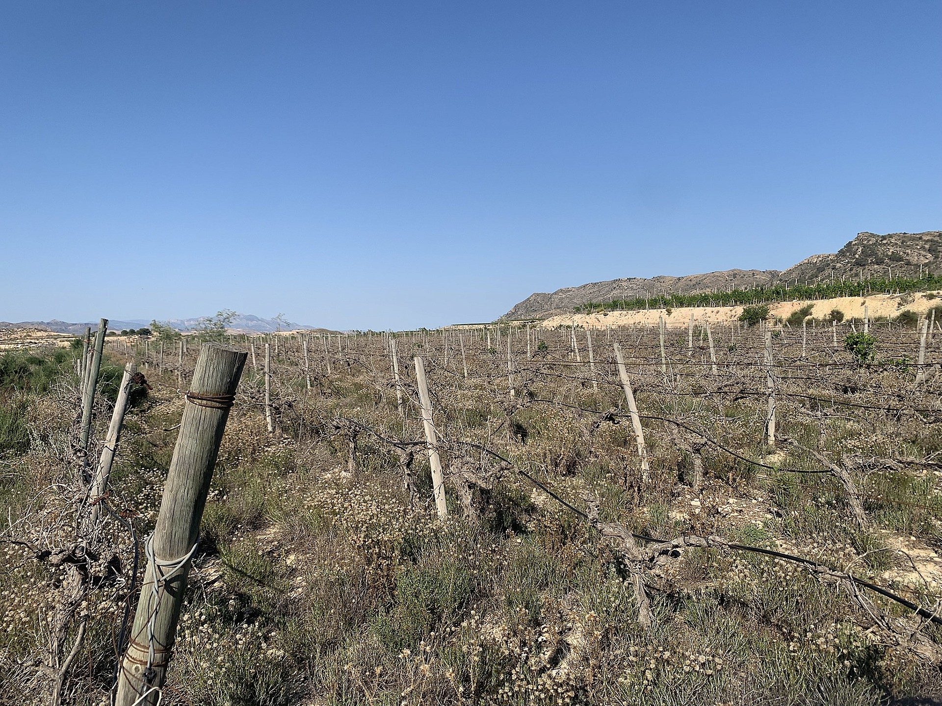 Resale - Land in Monforte Del Cid -  - Alicante