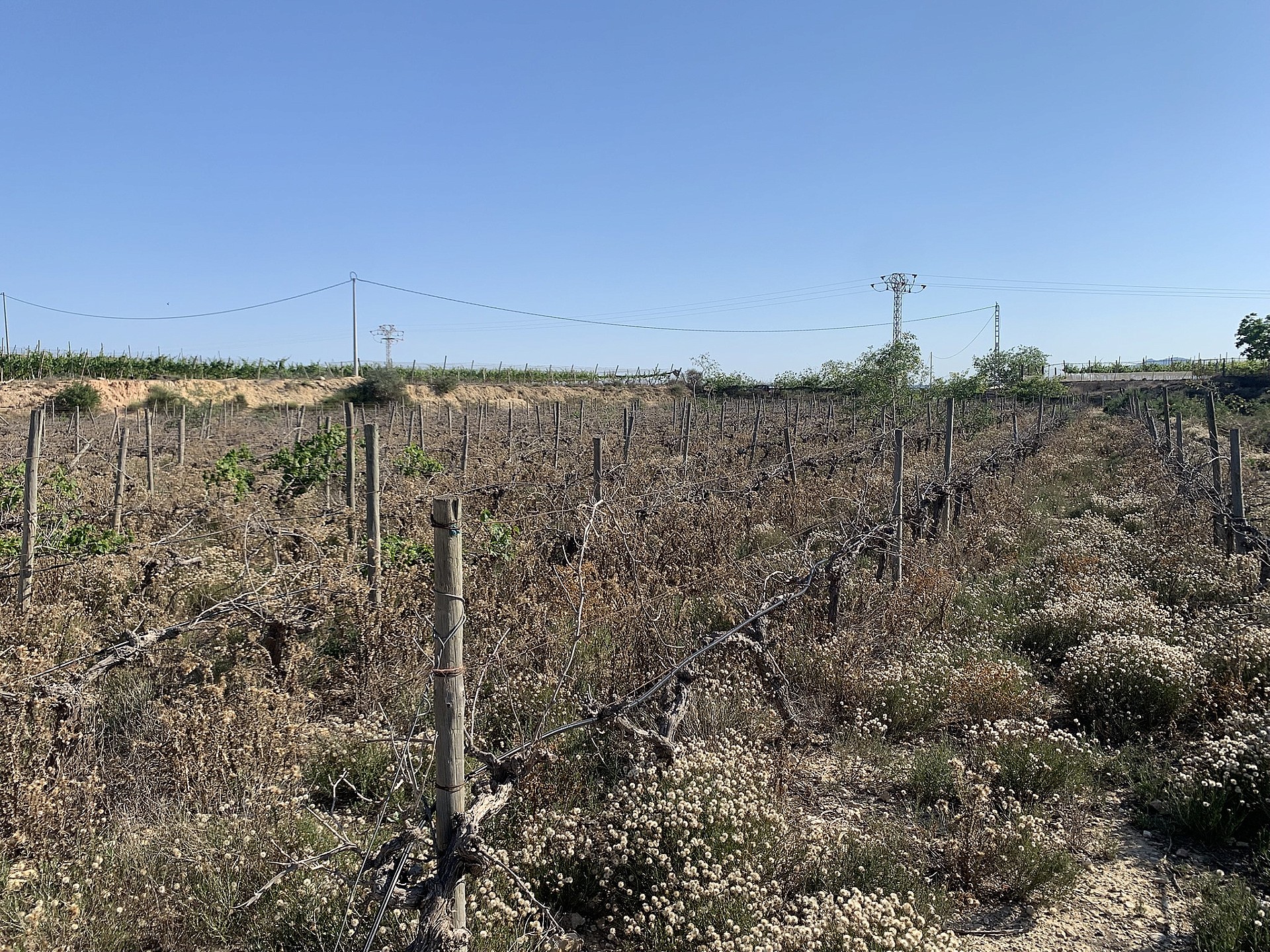 Resale - Land in Monforte Del Cid -  - Alicante