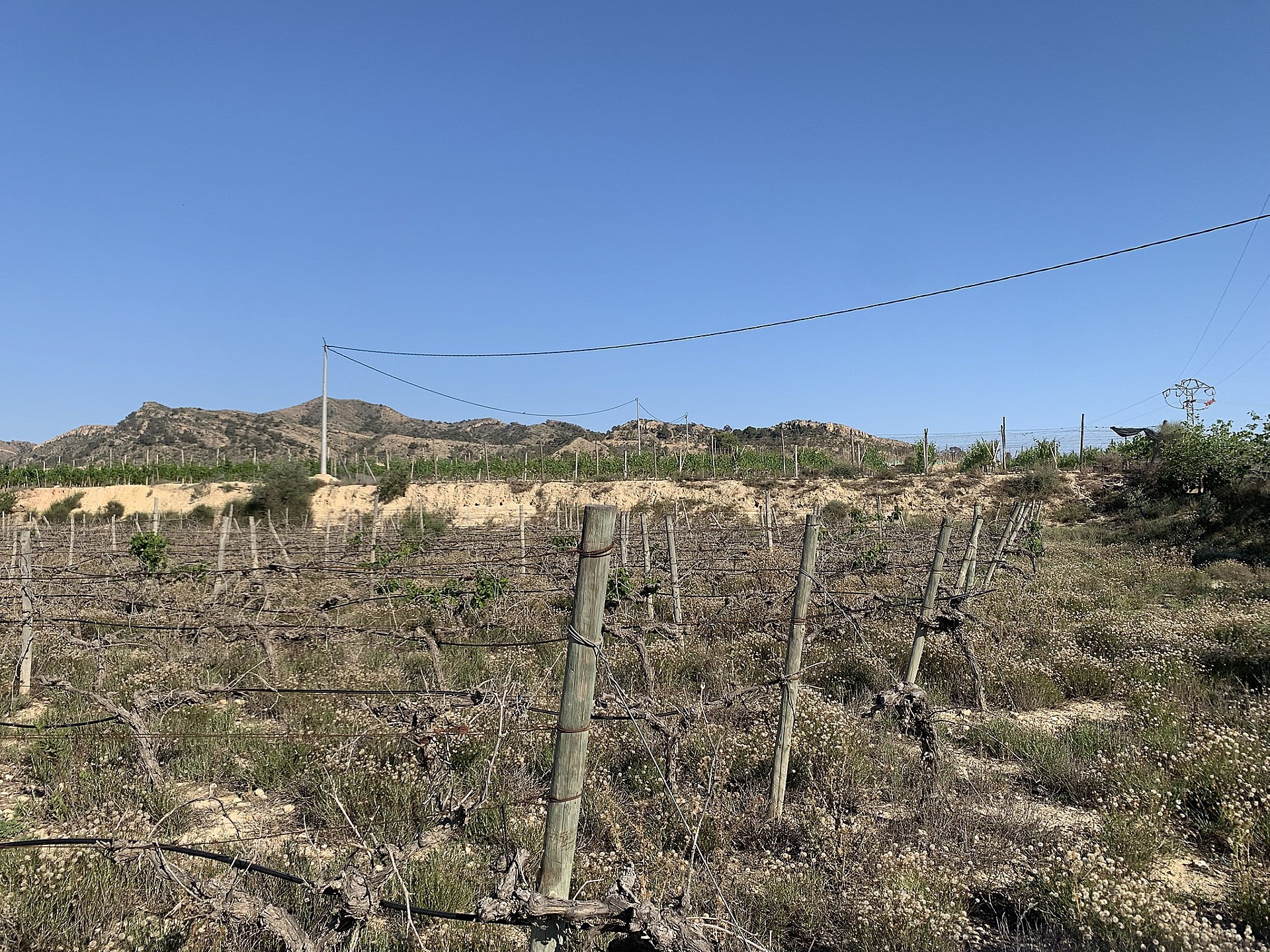 Resale - Land in Monforte Del Cid -  - Alicante