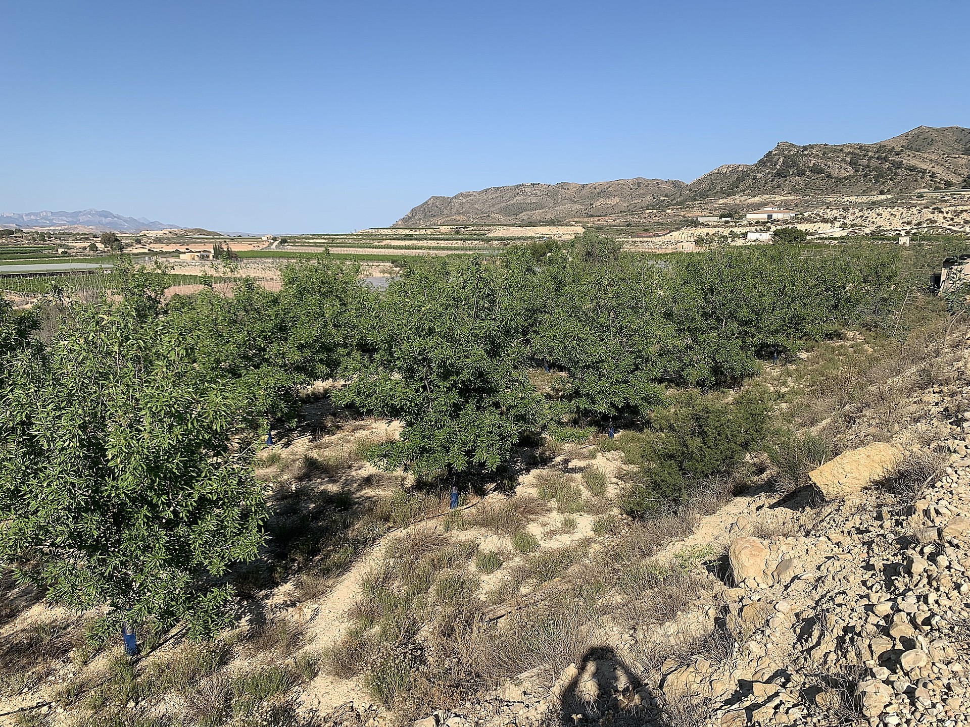 Resale - Land in Monforte Del Cid -  - Alicante