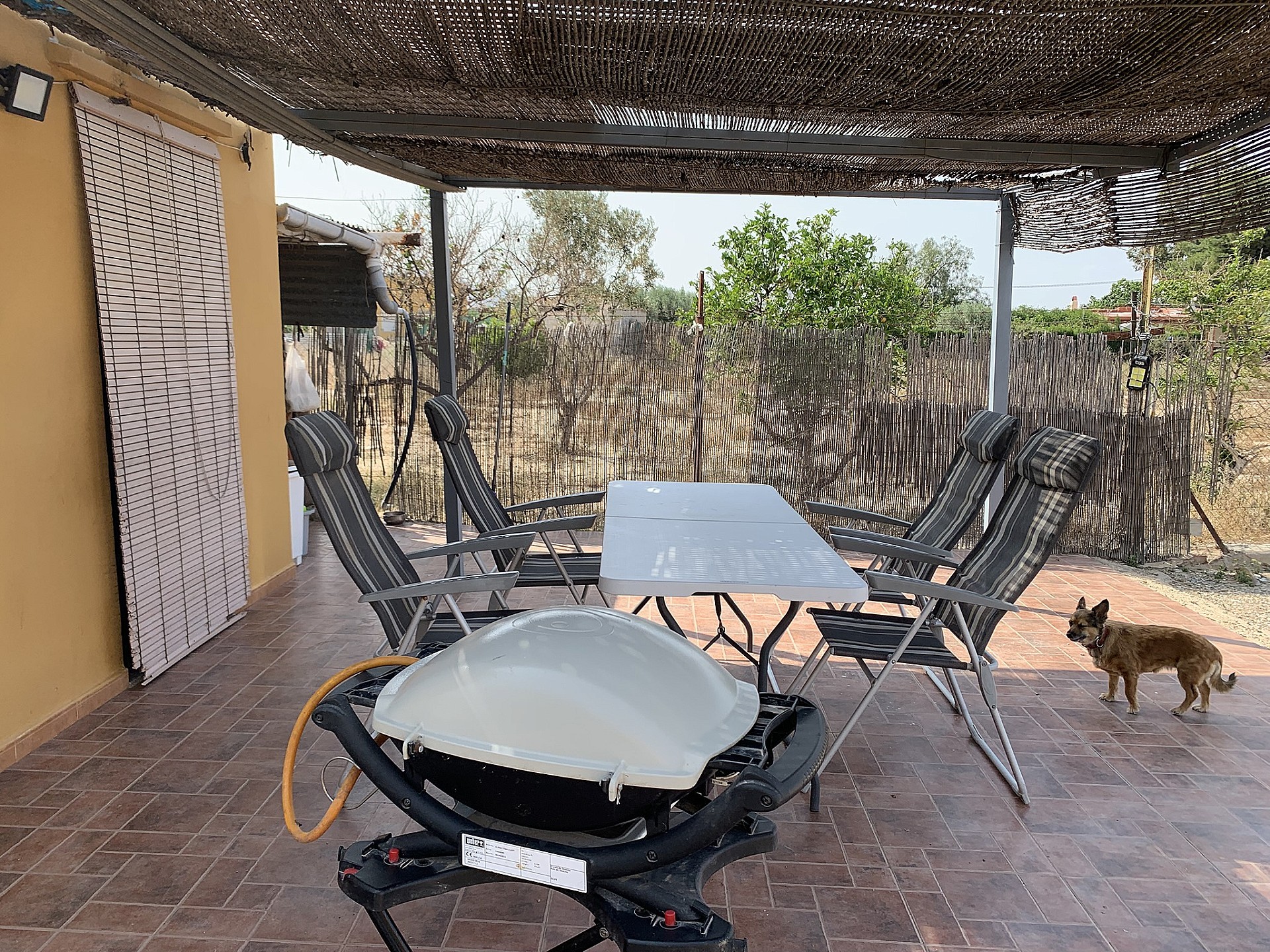 Resale - 3 Bedroom 2 Bathroom Country house in Aspe -  - Alicante