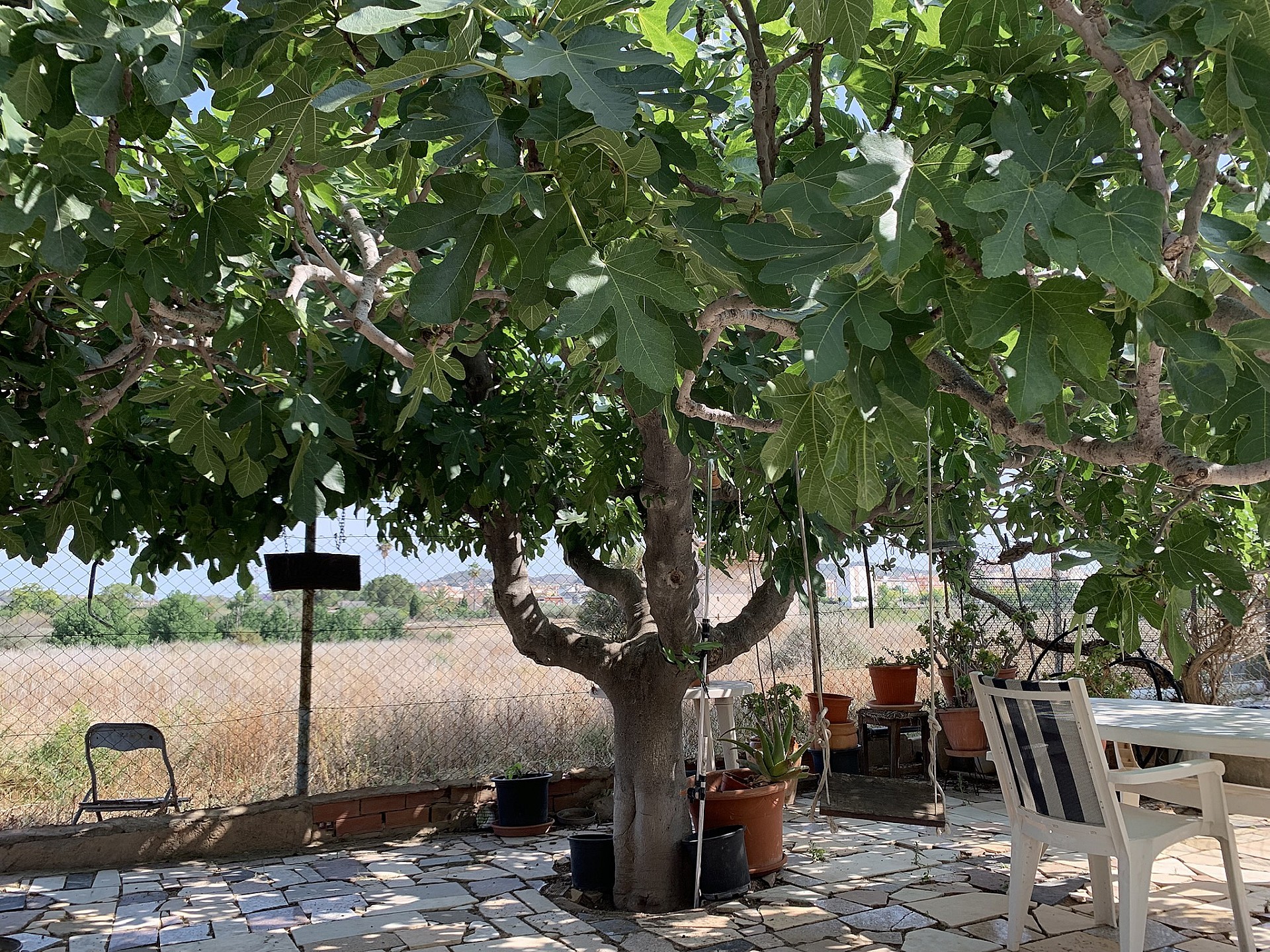 Resale - 3 Bedroom 2 Bathroom Country house in Aspe -  - Alicante