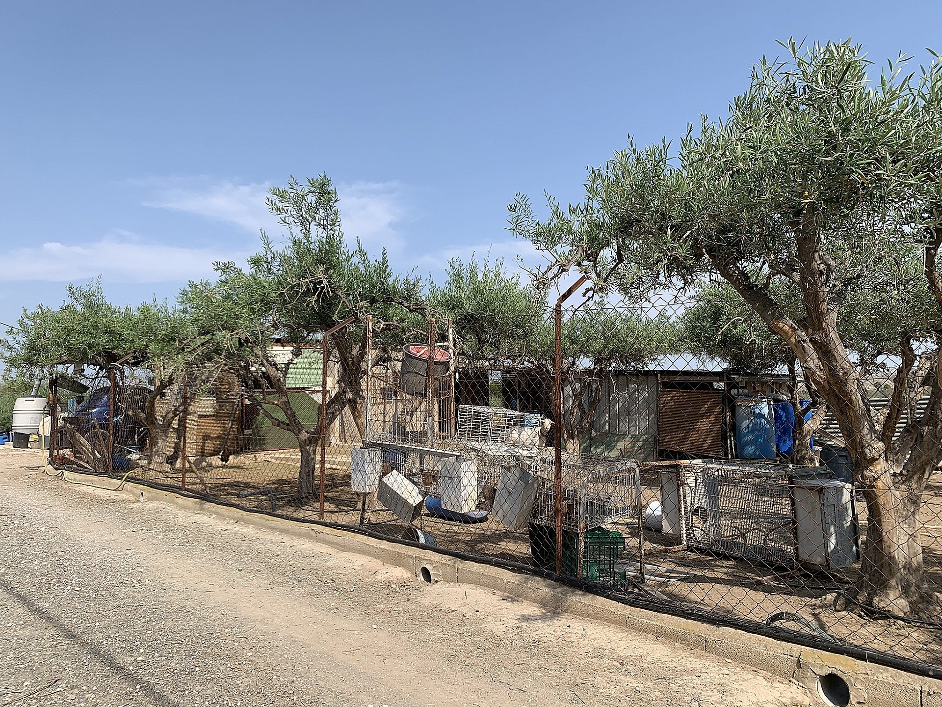 Resale - 3 Bedroom 2 Bathroom Country house in Aspe -  - Alicante