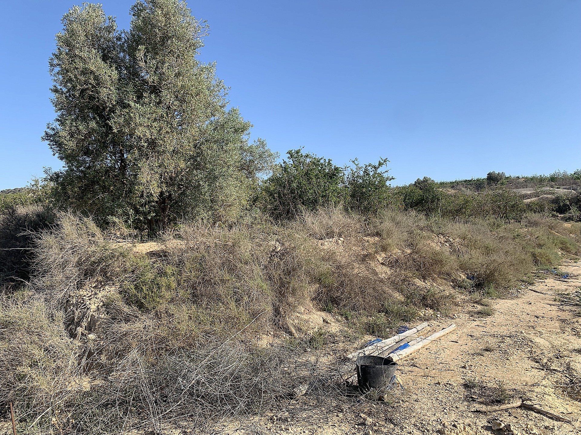 Resale - Land in Monforte Del Cid -  - Alicante