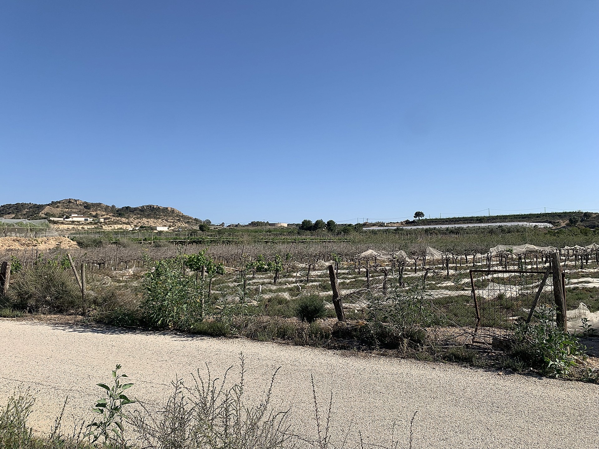 Resale - Land in Monforte Del Cid -  - Alicante
