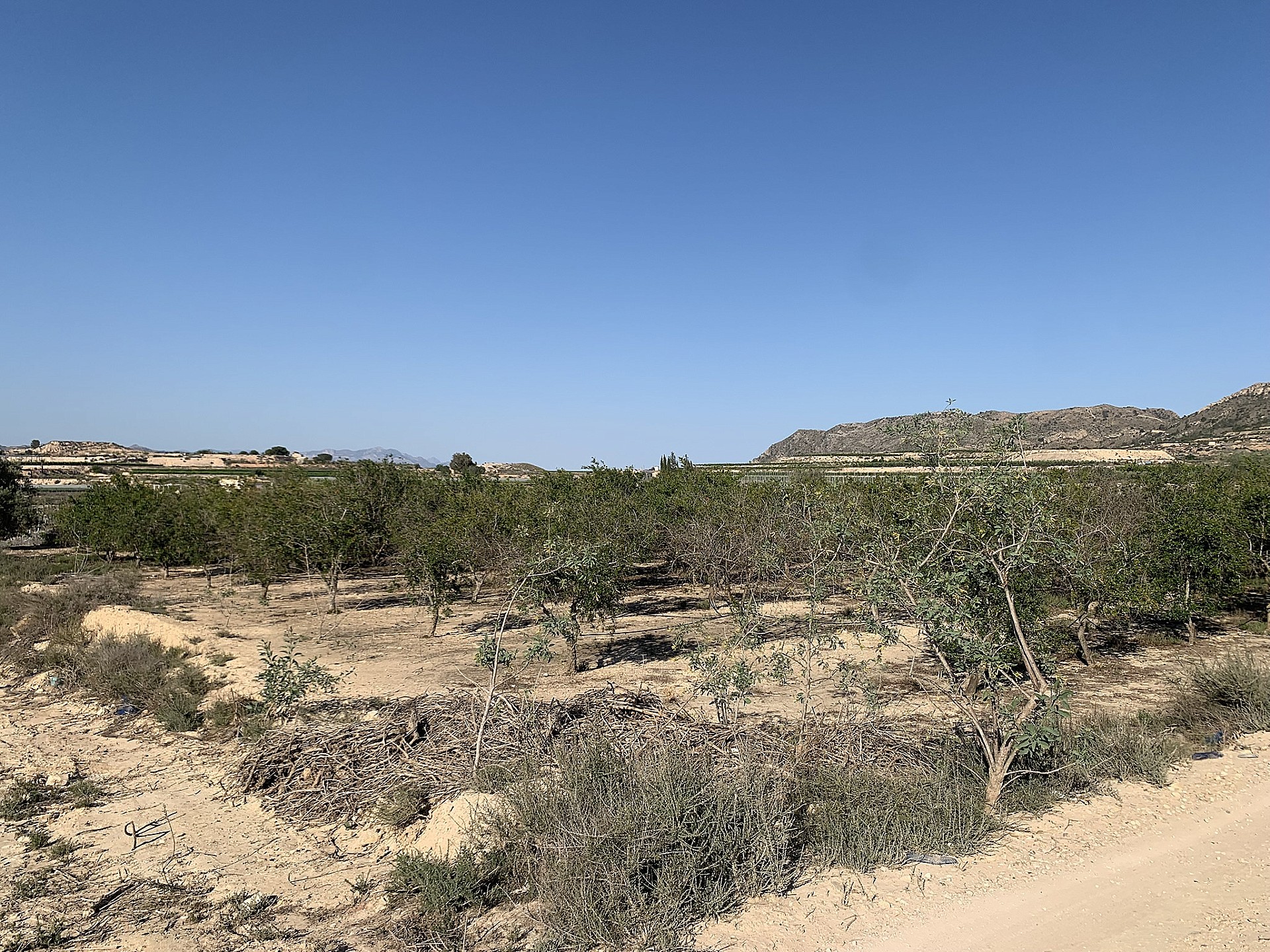 Resale - Land in Monforte Del Cid -  - Alicante