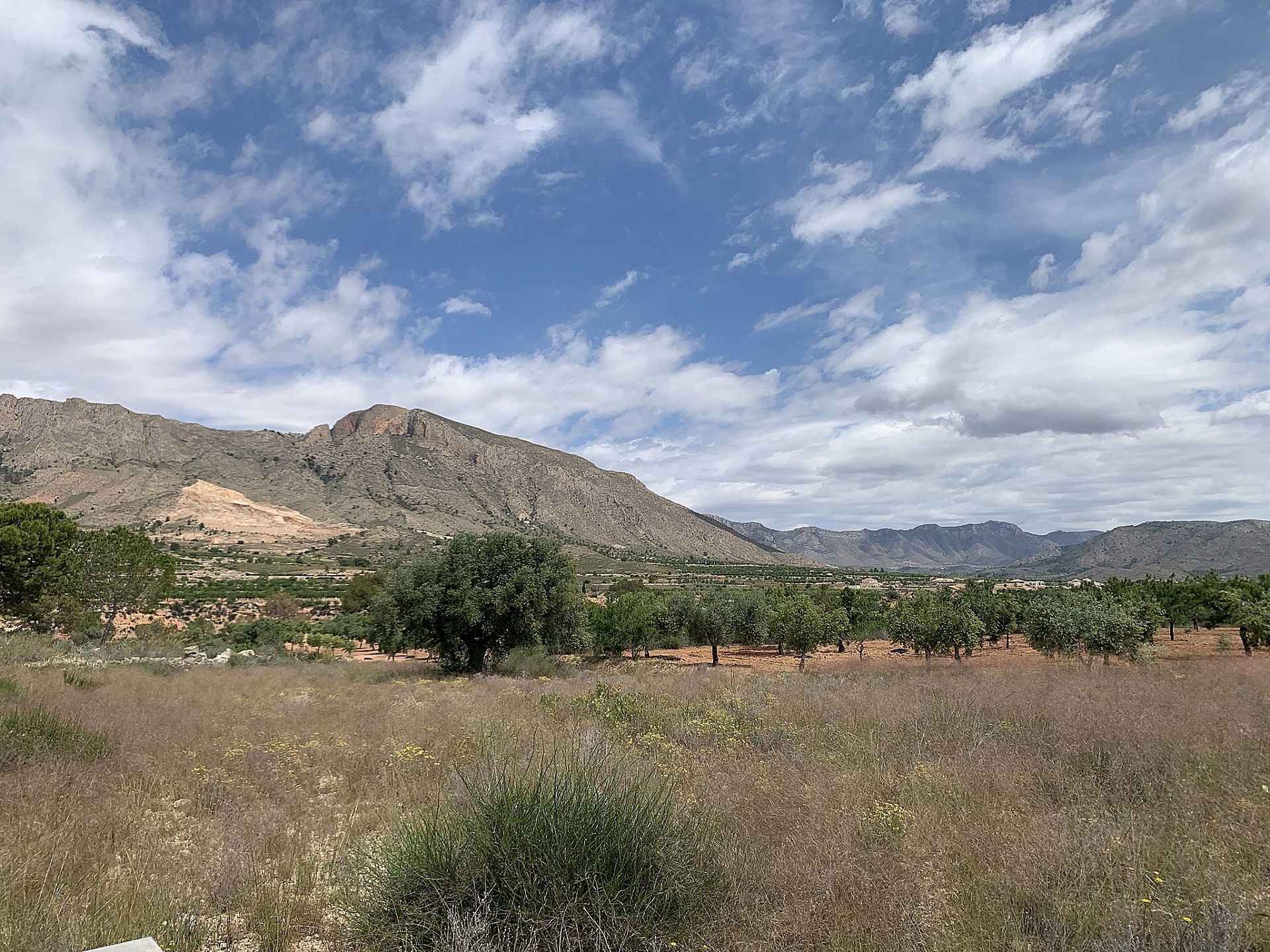 Sold - 3 Bedroom 1 Bathroom Country house in Macisvenda -  - Murcia