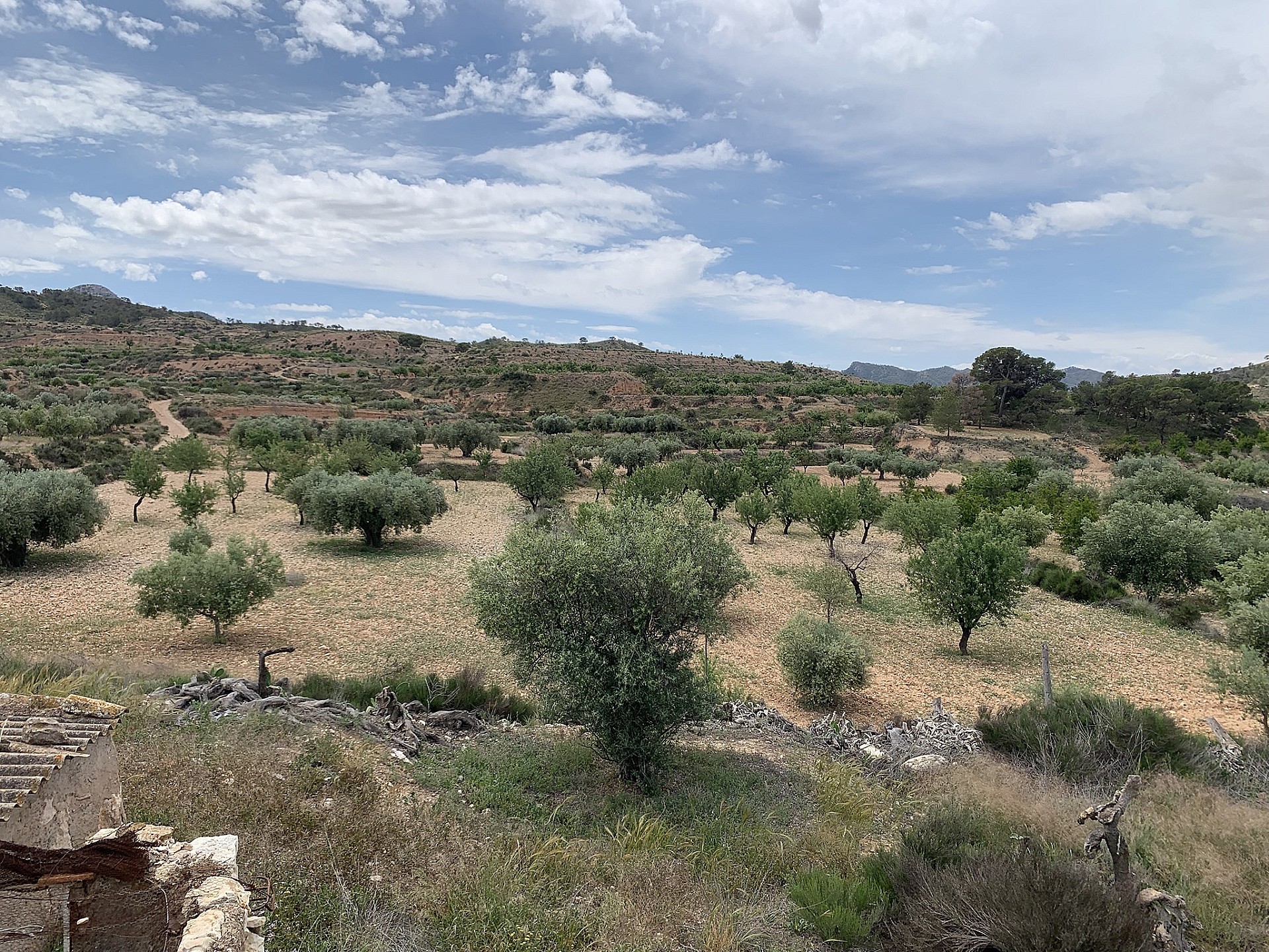 Sold - 3 Bedroom 1 Bathroom Country house in Macisvenda -  - Murcia