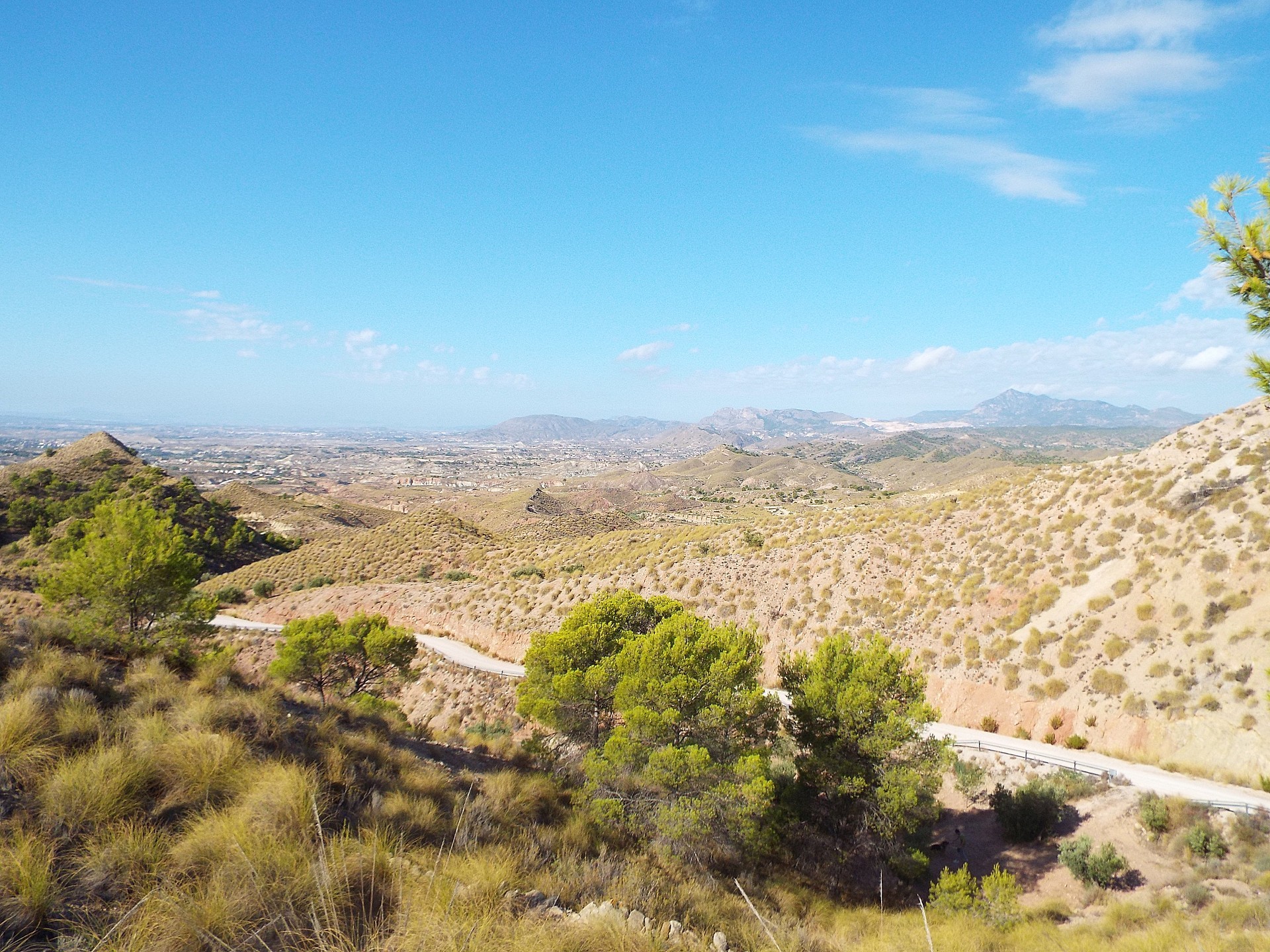Sold - Land in Macisvenda -  - Murcia