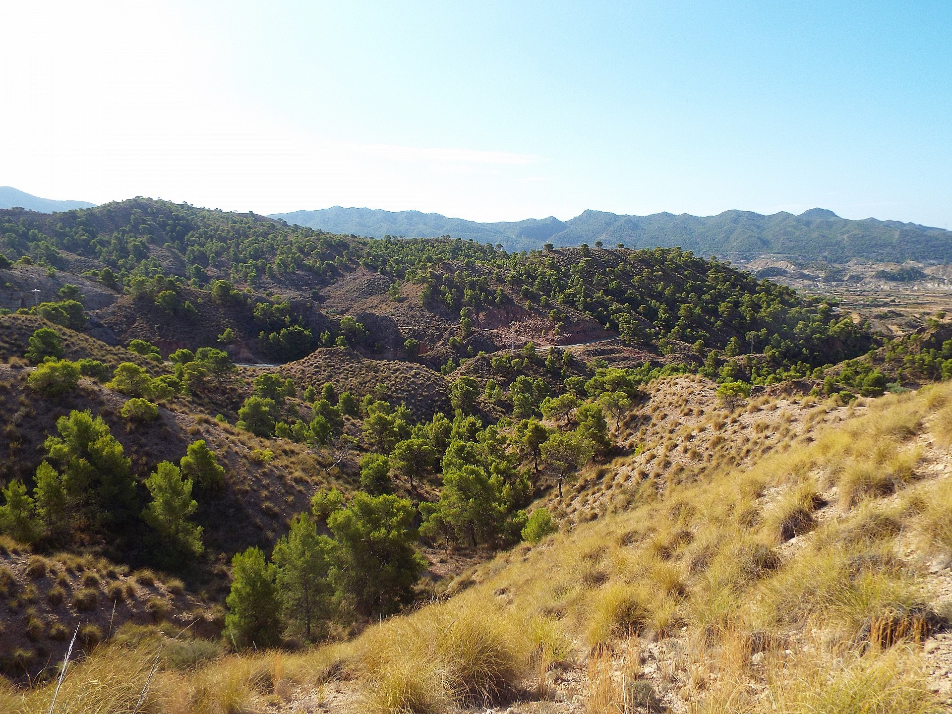Sold - Land in Macisvenda -  - Murcia