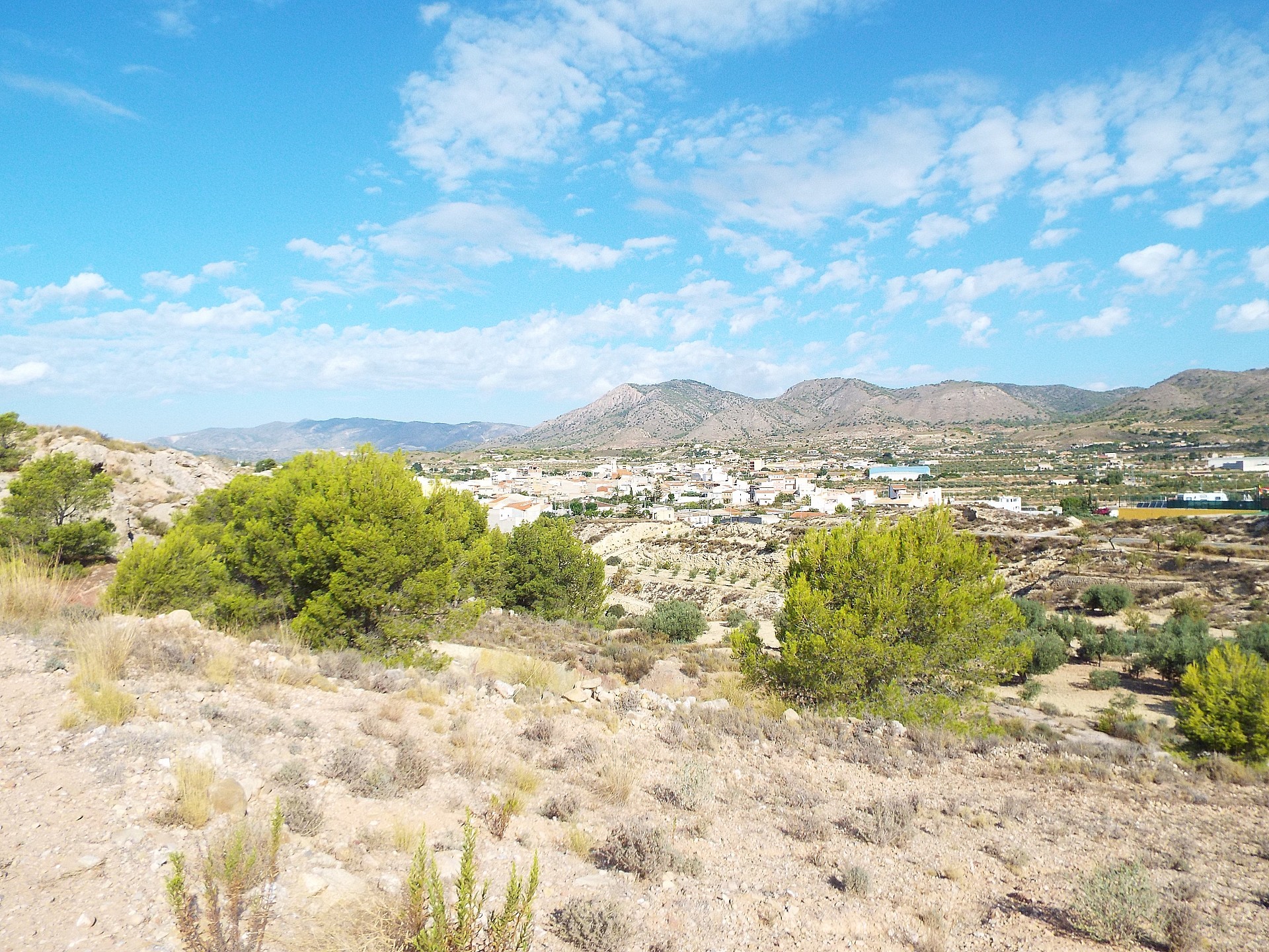 Sold - Land in Macisvenda -  - Murcia