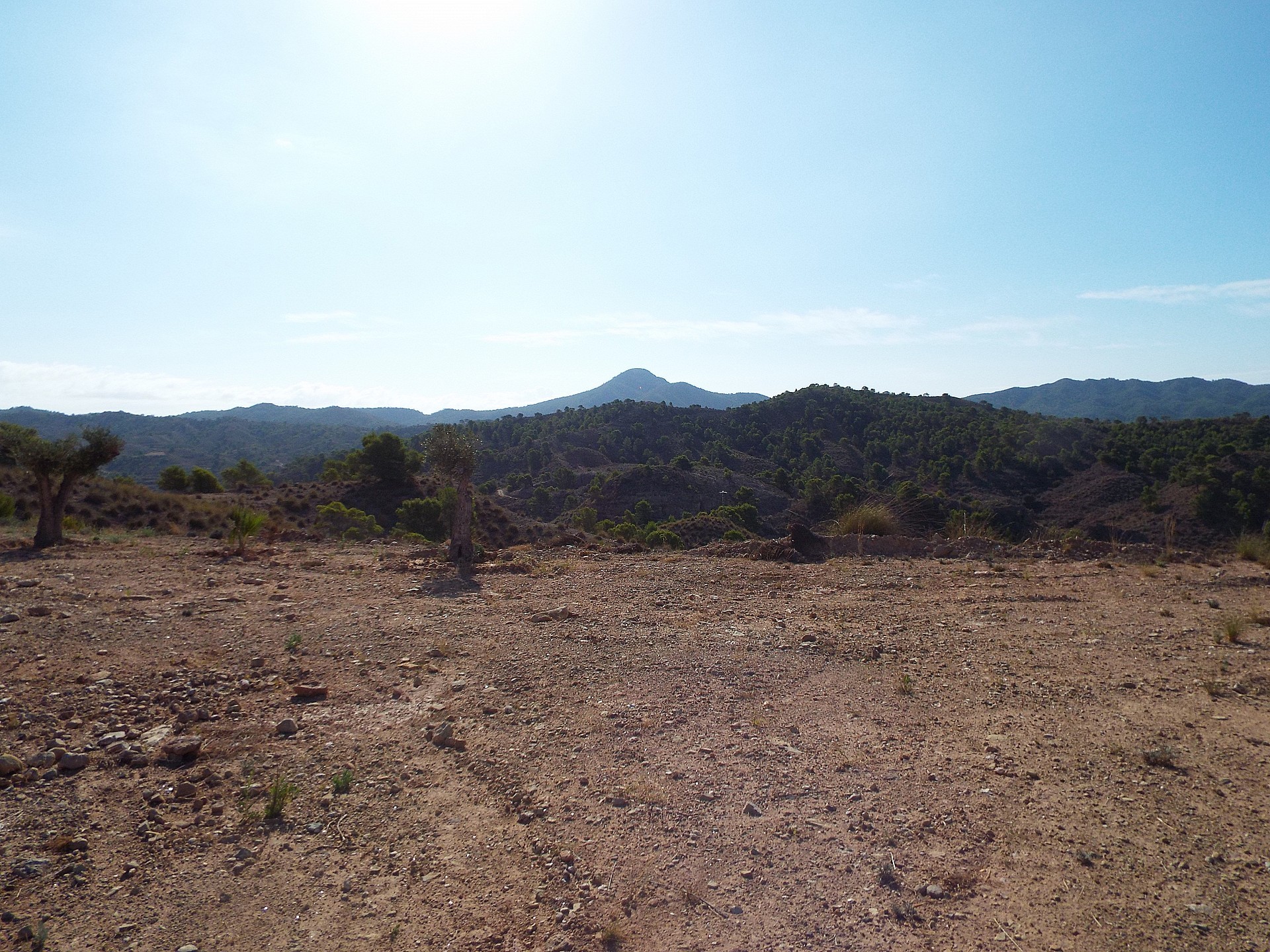 Sold - Land in Macisvenda -  - Murcia
