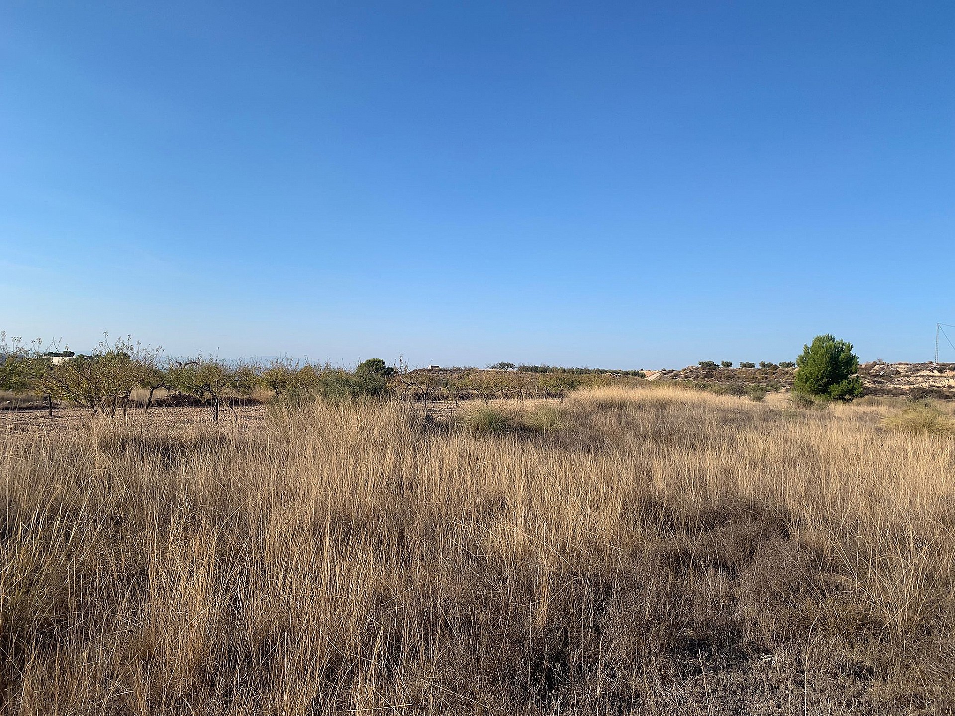 Resale - Land in Macisvenda - , Macisvenda, Murcia, Spain - Murcia