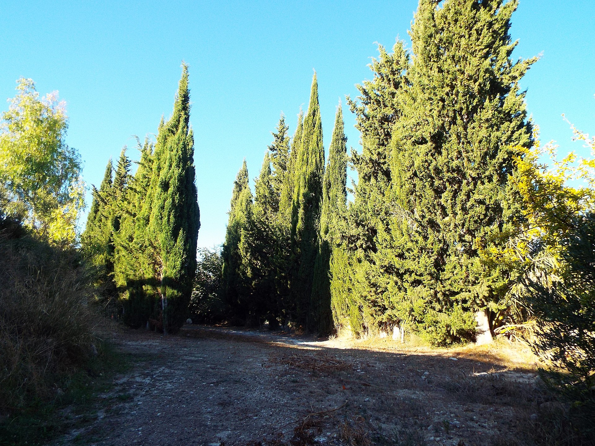 Sold - 12 Bedroom 3 Bathroom Country house in Mahoya -  - Murcia