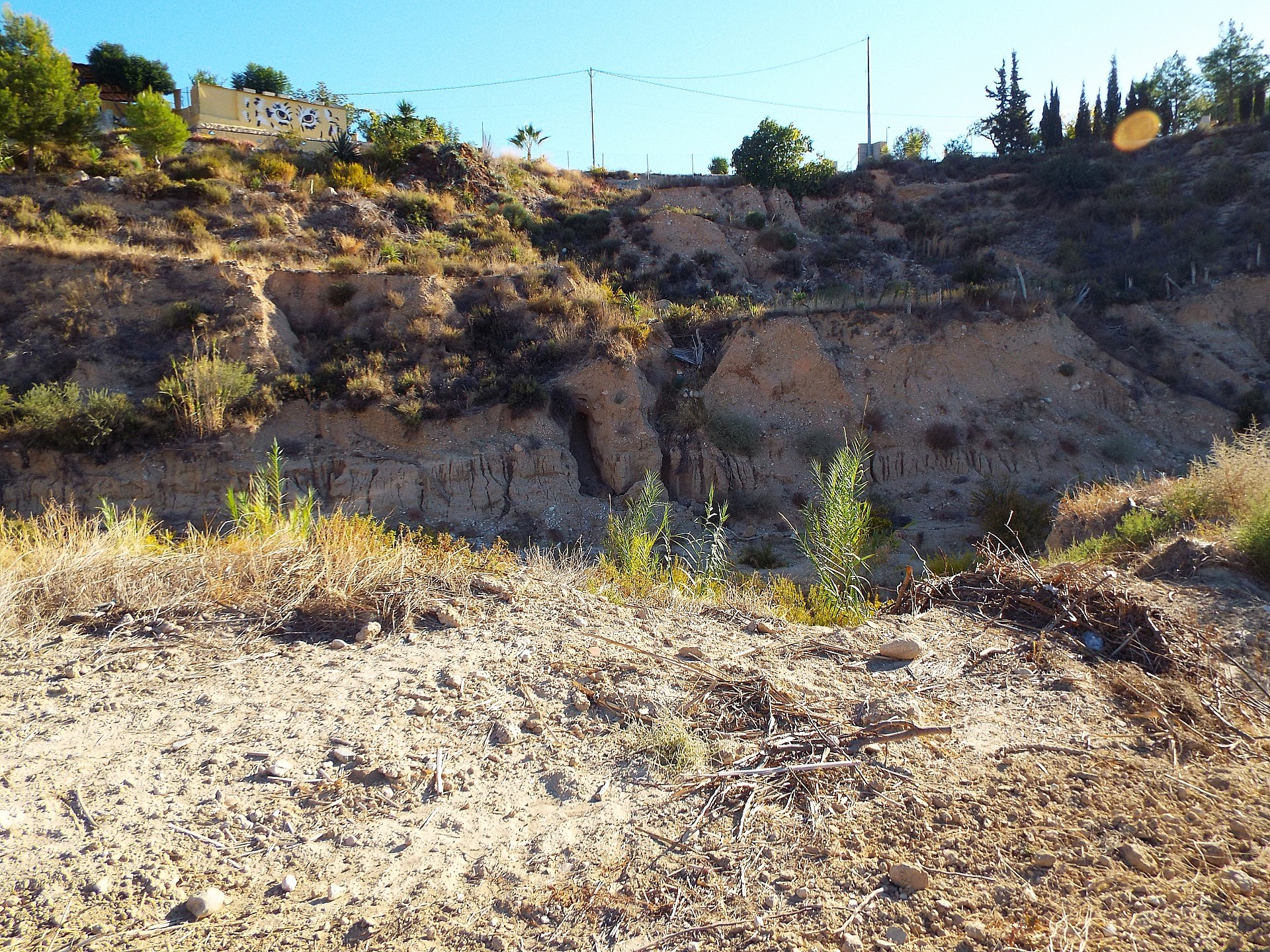 Sold - 12 Bedroom 3 Bathroom Country house in Mahoya -  - Murcia