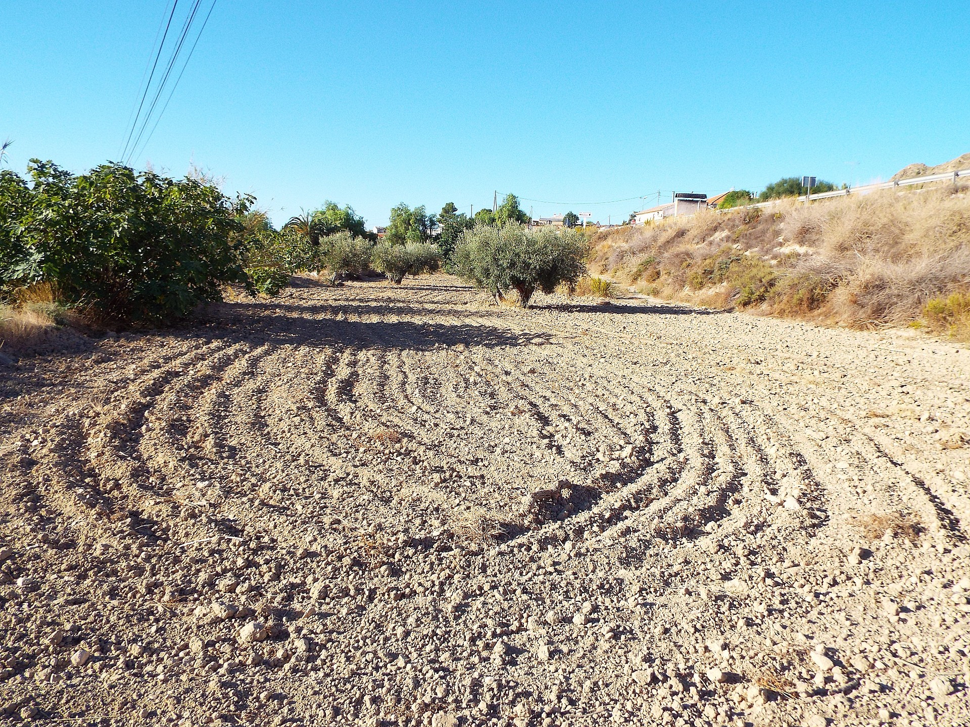 Sold - 12 Bedroom 3 Bathroom Country house in Mahoya -  - Murcia