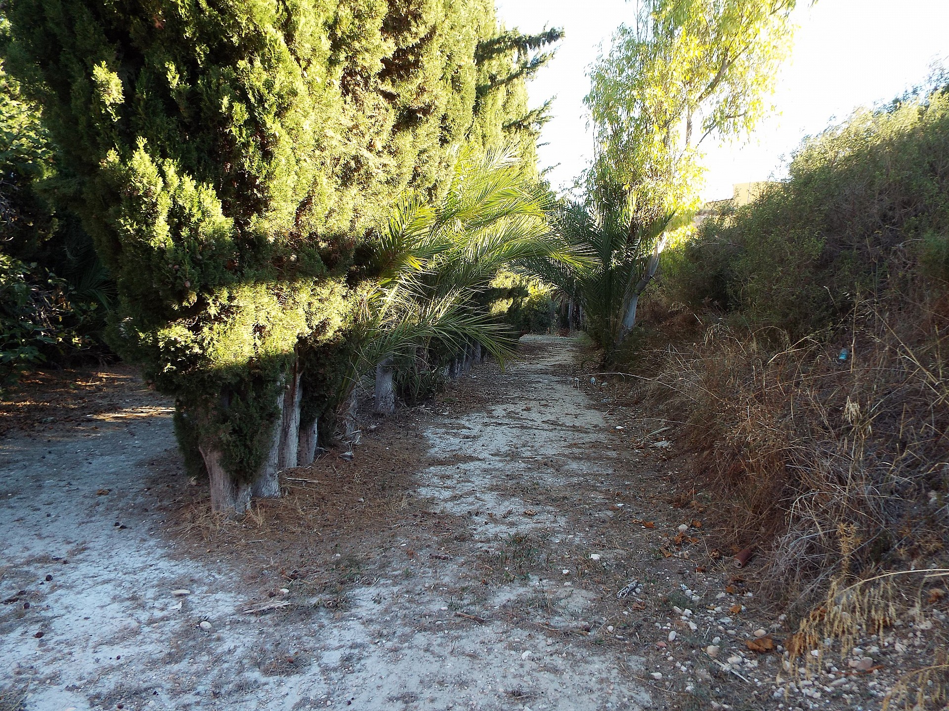 Sold - 12 Bedroom 3 Bathroom Country house in Mahoya -  - Murcia
