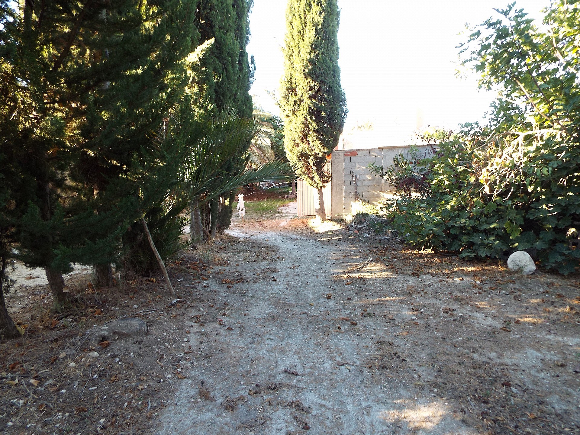 Sold - 12 Bedroom 3 Bathroom Country house in Mahoya -  - Murcia