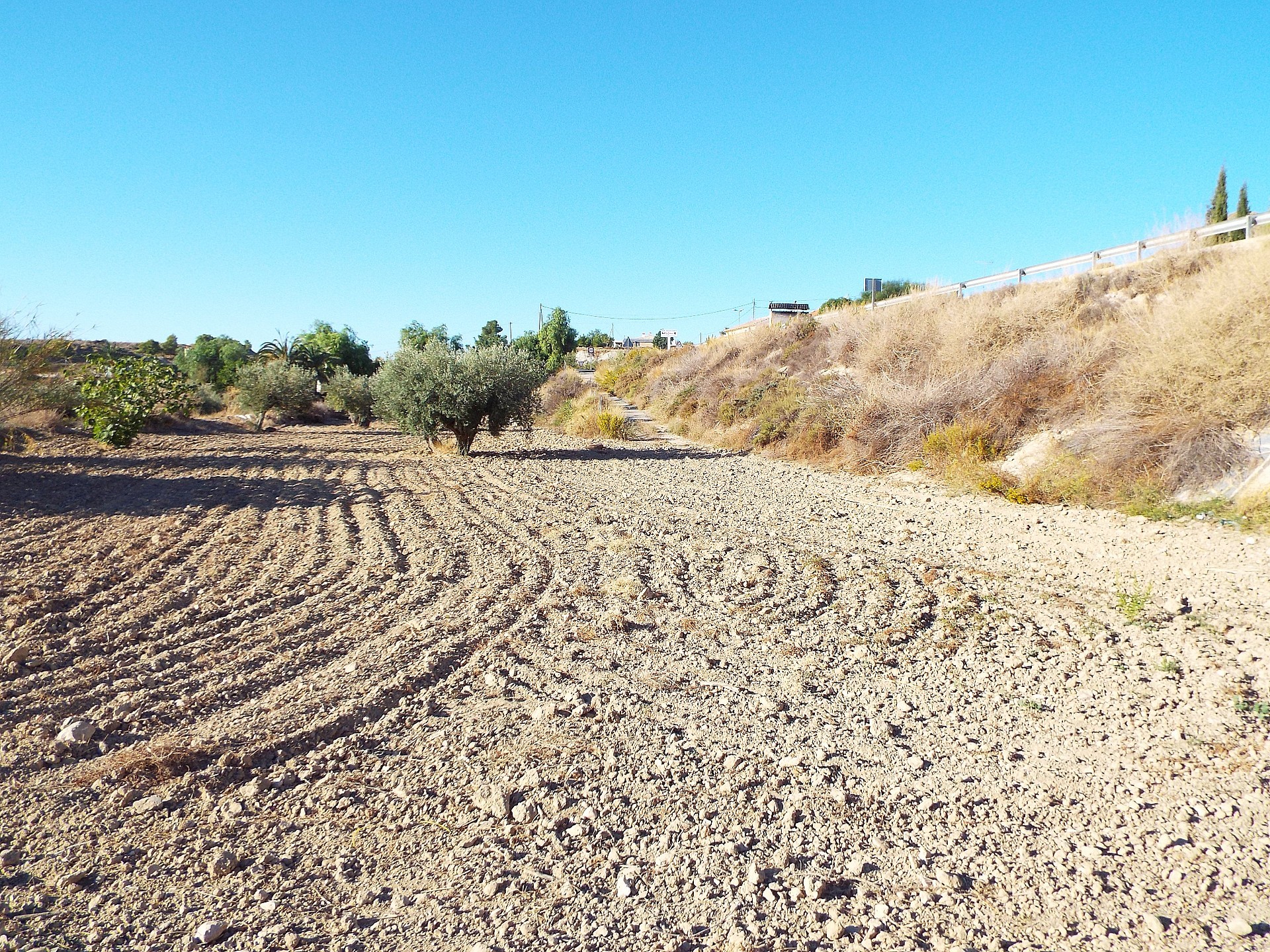 Sold - 12 Bedroom 3 Bathroom Country house in Mahoya -  - Murcia