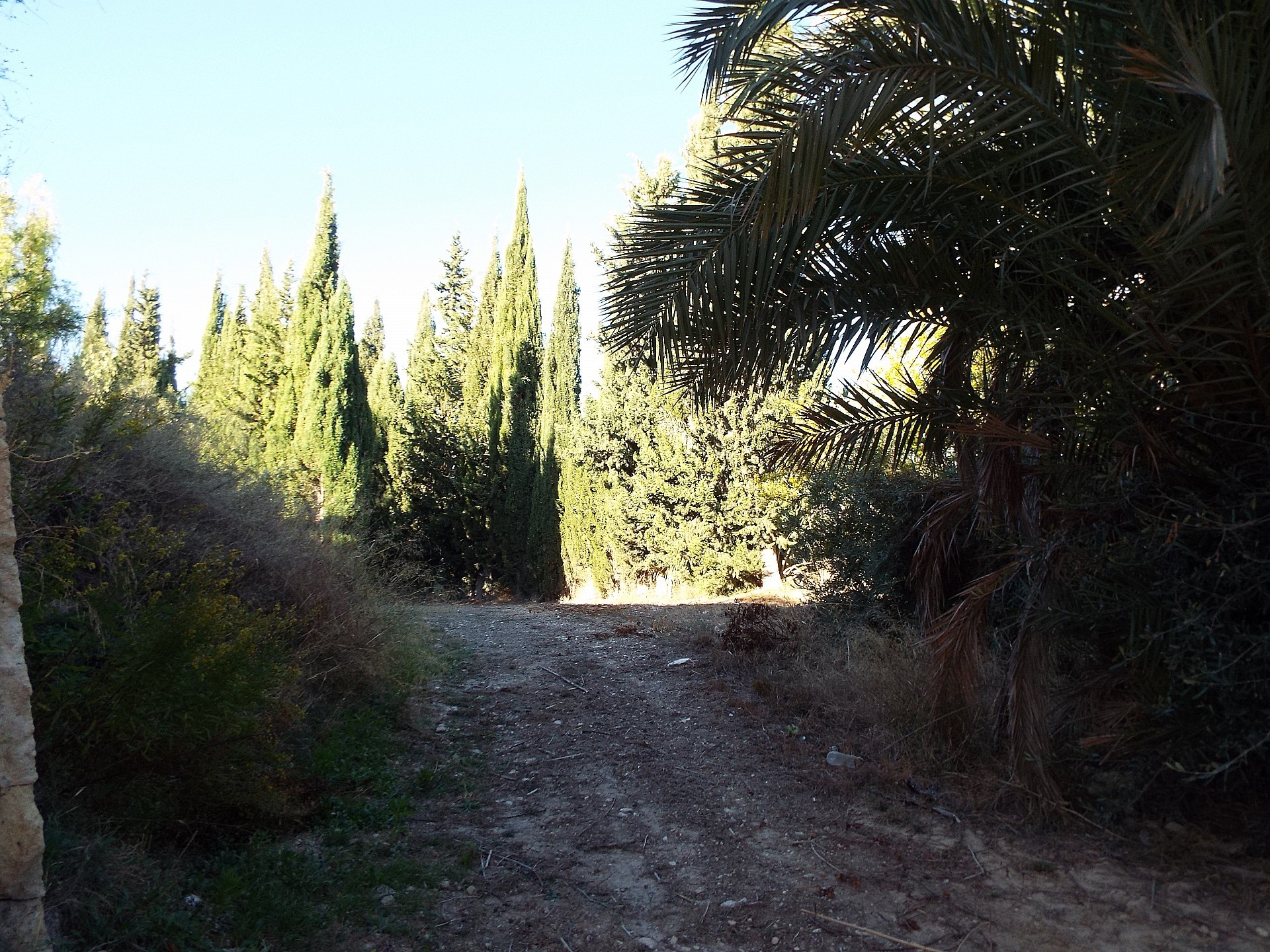 Sold - 12 Bedroom 3 Bathroom Country house in Mahoya -  - Murcia