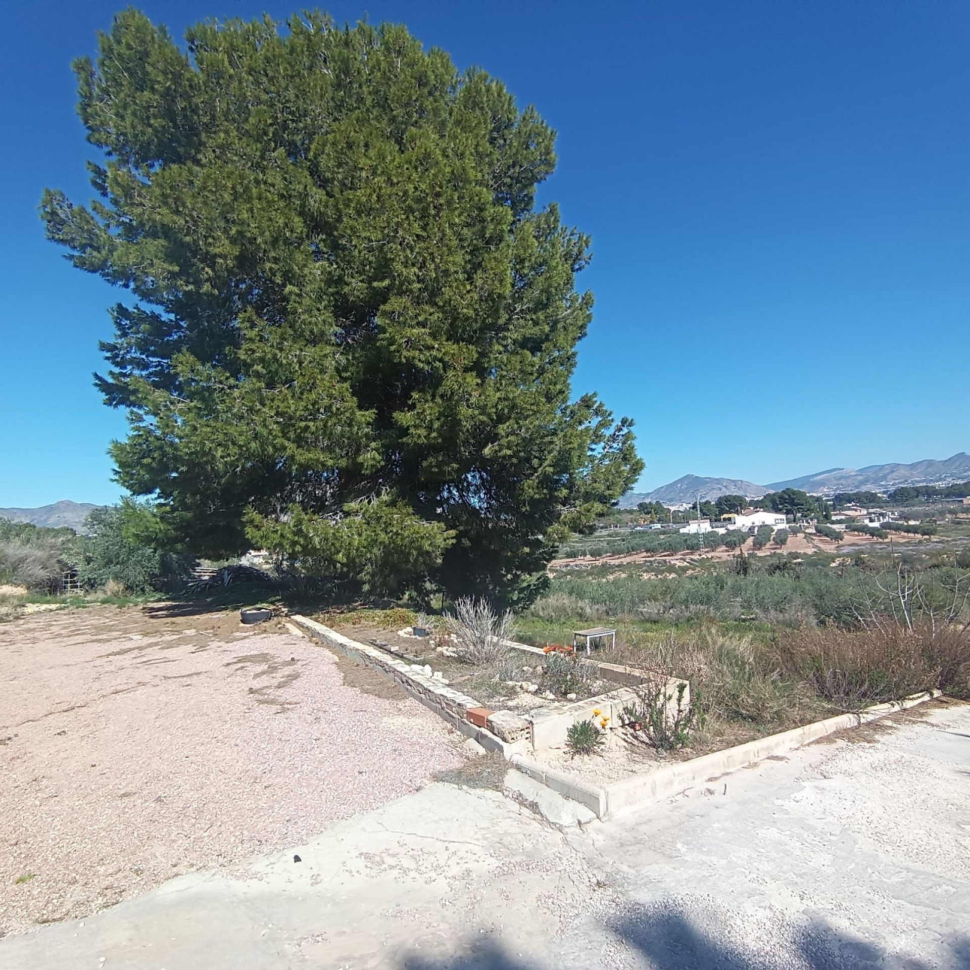 Resale - 6 Bedroom 3 Bathroom Villa in Elda -  - Alicante