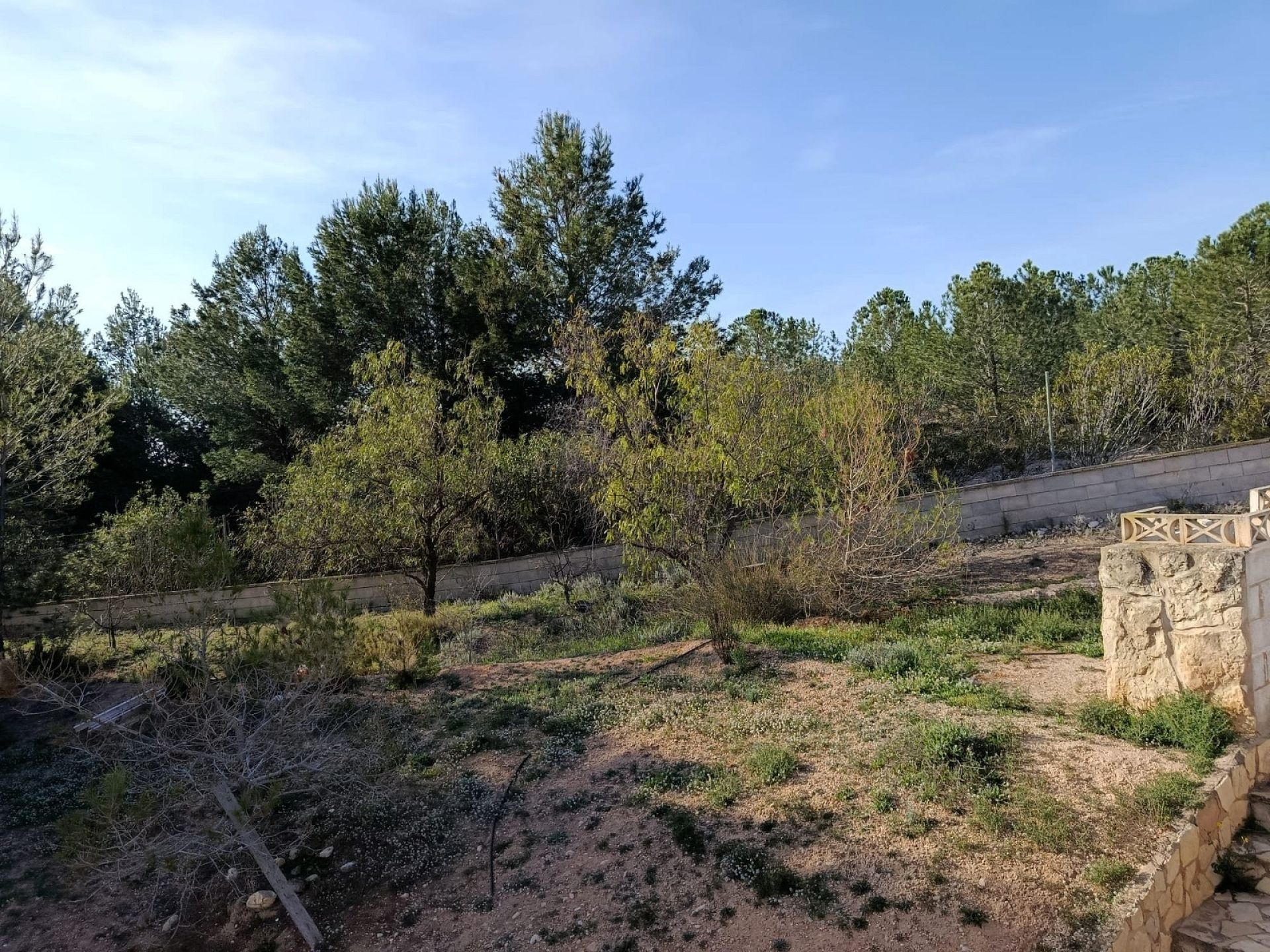 Resale - 6 Bedroom 3 Bathroom Villa in Elda -  - Alicante