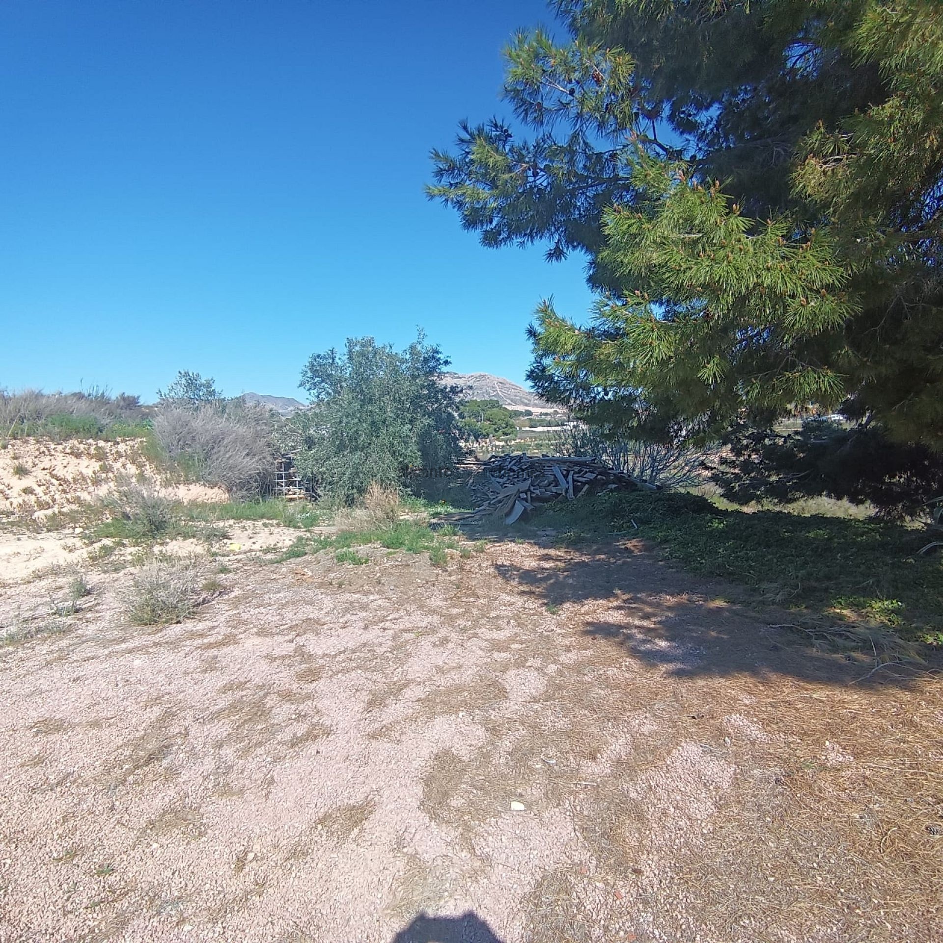 Resale - 6 Bedroom 3 Bathroom Villa in Elda -  - Alicante