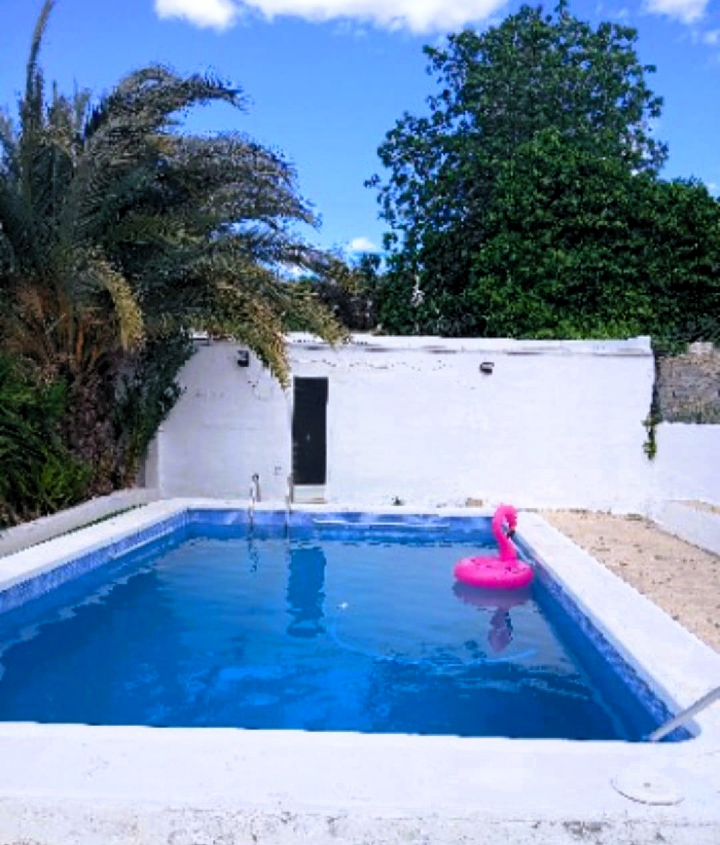 Resale - 5 Bedroom 2 Bathroom Villa in Elche -  - Alicante