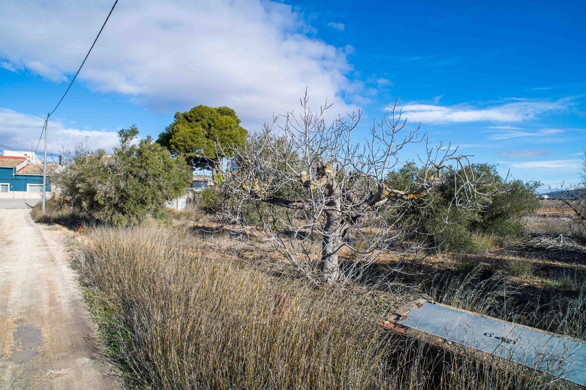Resale - 5 Bedroom 4 Bathroom Country house in Pinoso -  - Alicante
