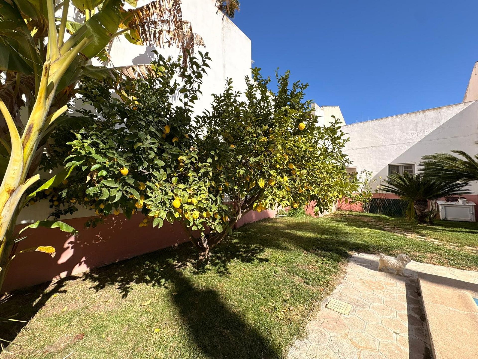Resale - 6 Bedroom 5 Bathroom Villa in Sax -  - Alicante