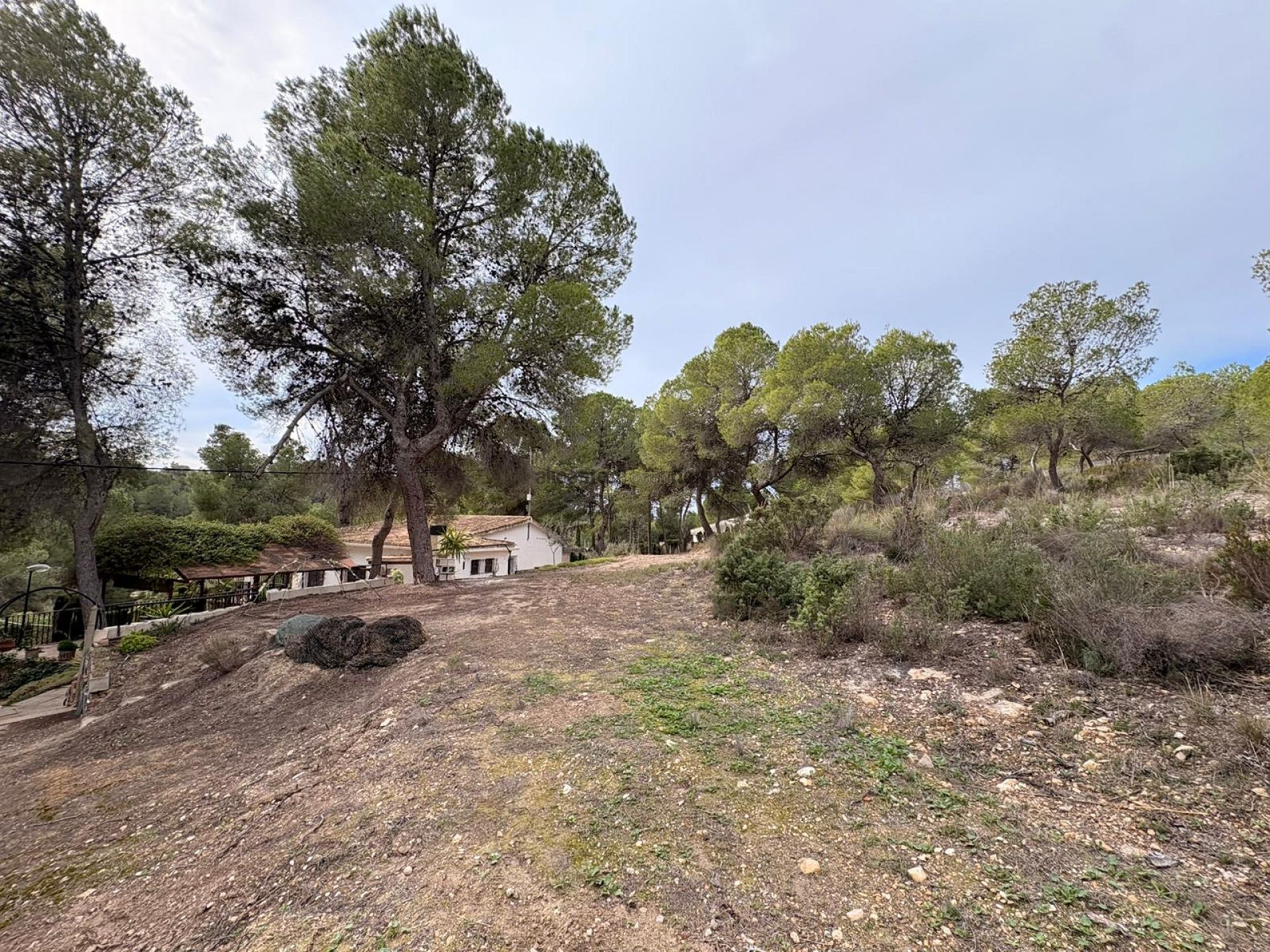 Resale - 4 Bedroom 2 Bathroom Villa in Sax -  - Alicante