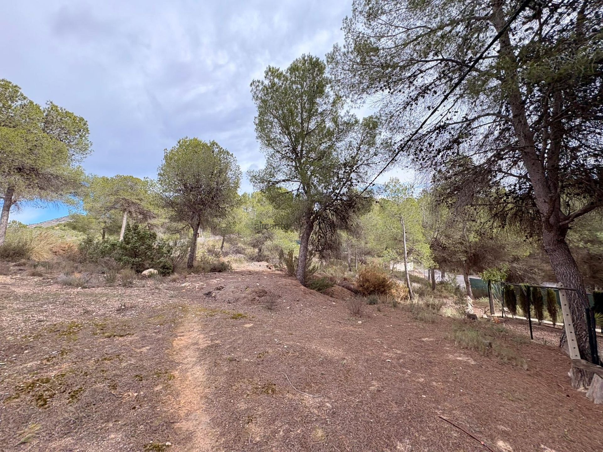 Resale - 4 Bedroom 2 Bathroom Villa in Sax -  - Alicante