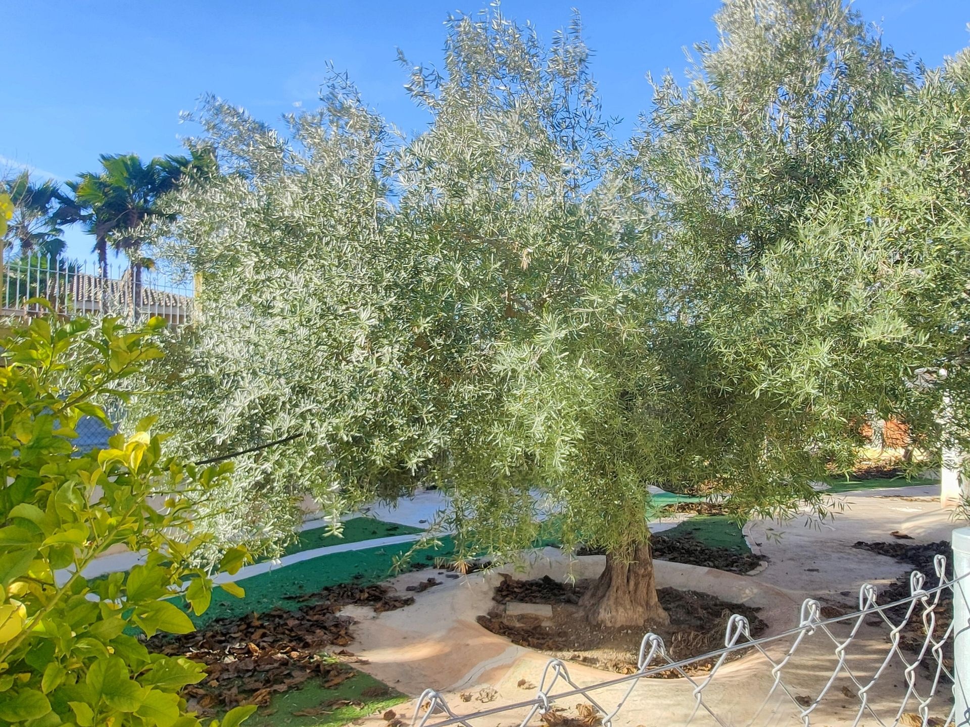 Resale - 6 Bedroom 4 Bathroom Villa in Aspe -  - Alicante