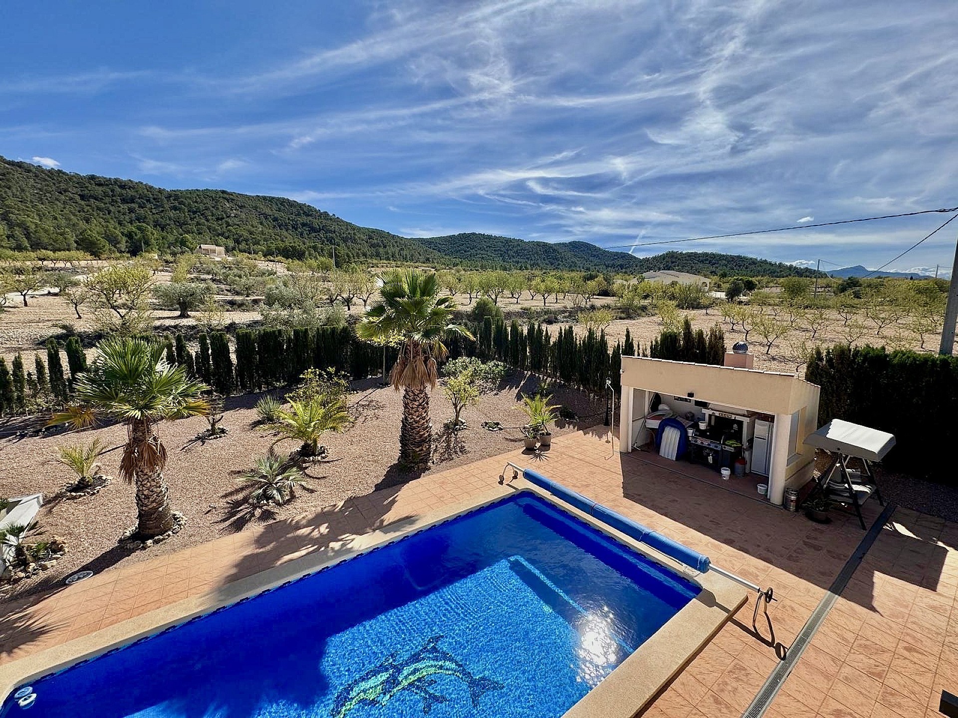 Sold - 4 Bedroom 3 Bathroom Villa in La Zarza -  - Murcia
