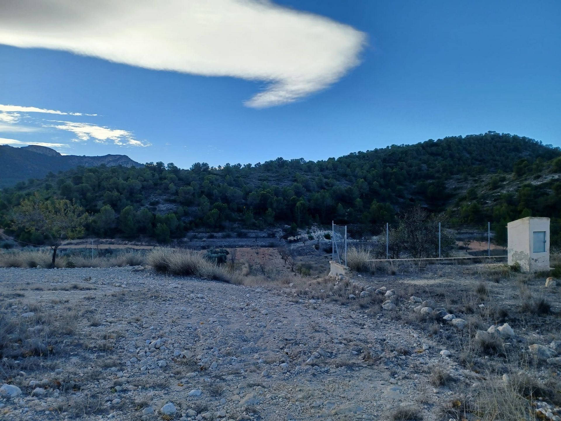Resale - 3 Bedroom 1 Bathroom Country house in La Zarza -  - Murcia