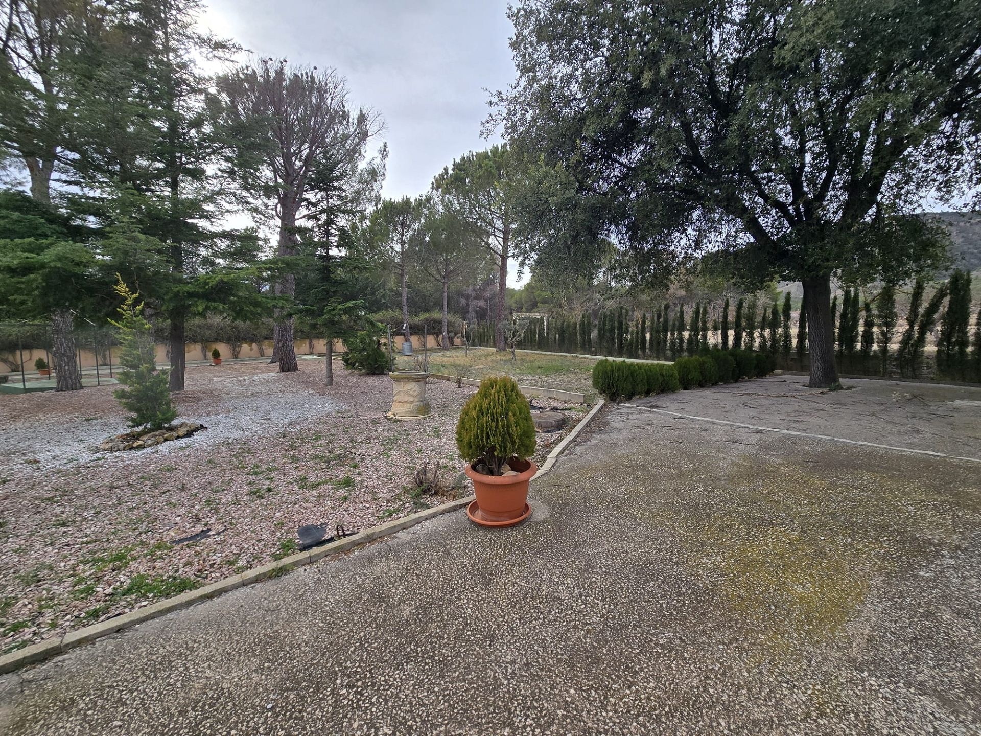 Resale - 4 Bedroom 4 Bathroom Country house in Salinas -  - Alicante