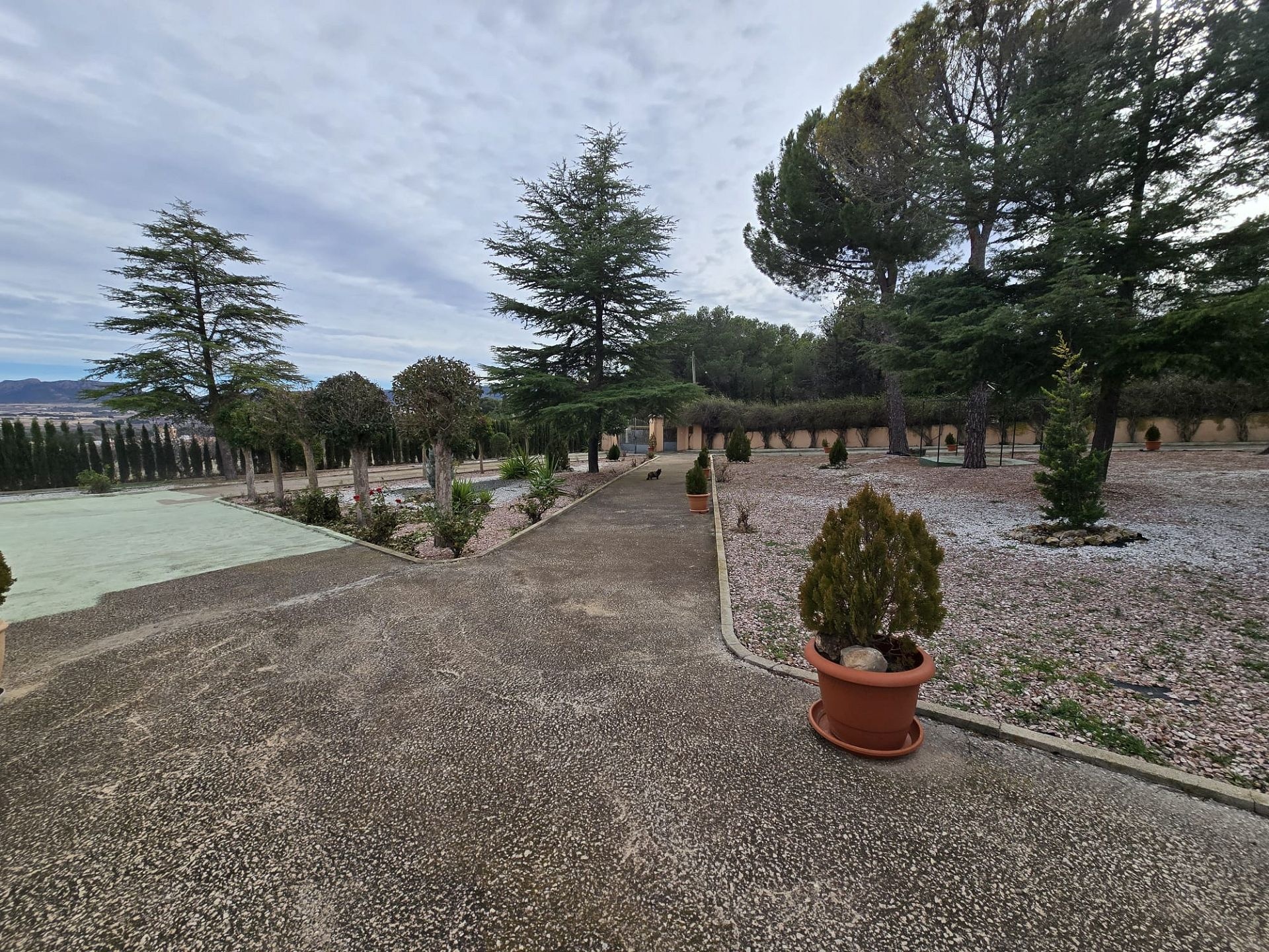 Resale - 4 Bedroom 4 Bathroom Country house in Salinas -  - Alicante