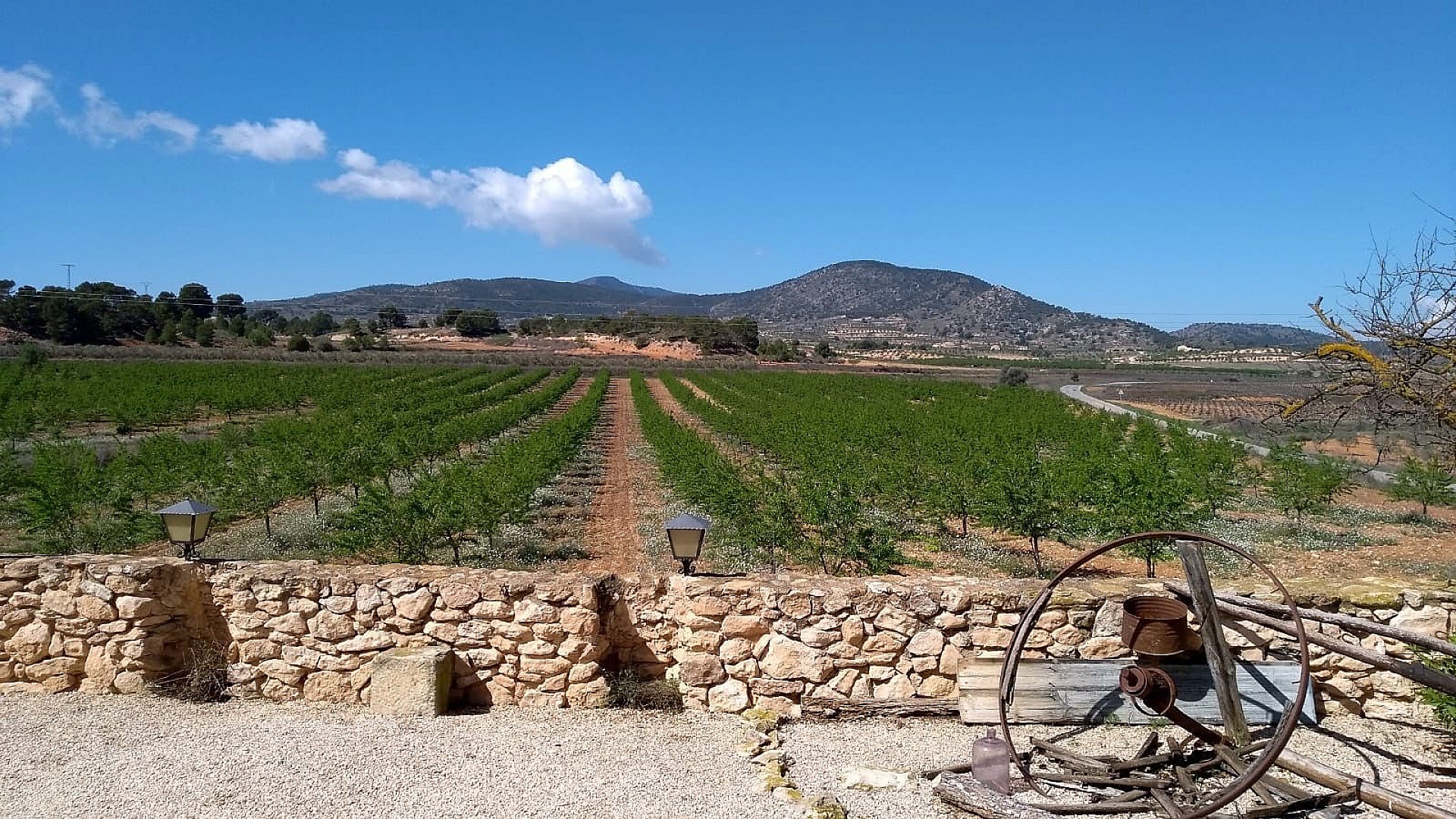 Resale - 6 Bedroom 2 Bathroom Semi-detached in Pinoso -  - Alicante