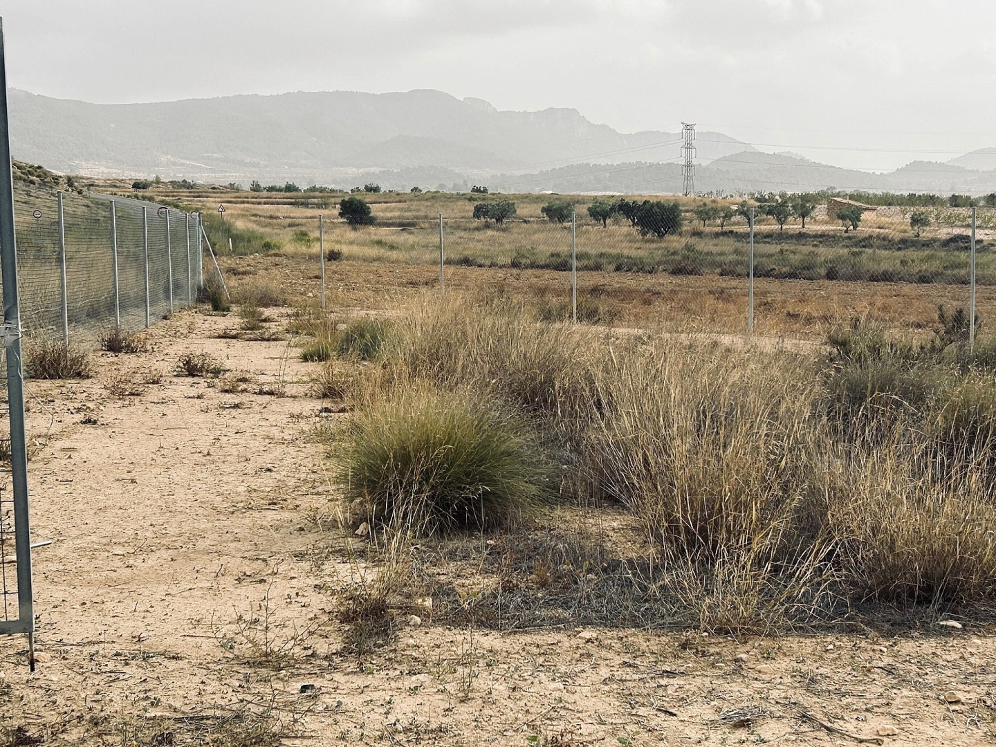 Land in Torre Del Rico