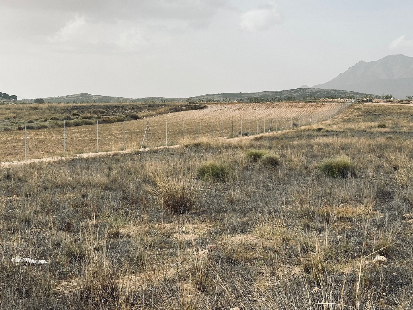 Land in Torre Del Rico