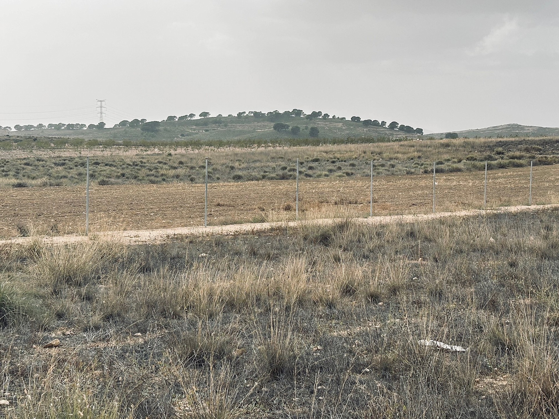 Resale - Land in Torre Del Rico -  - Murcia