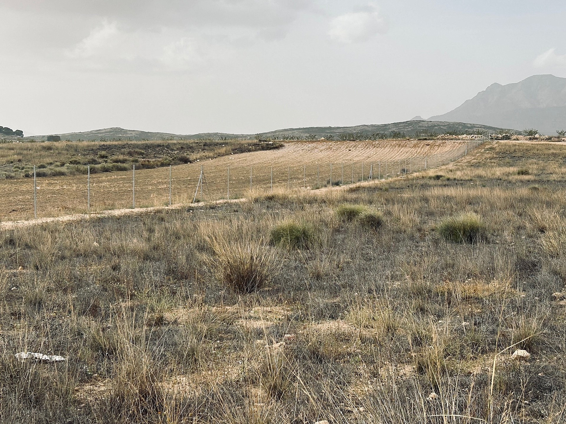 Resale - Land in Torre Del Rico -  - Murcia