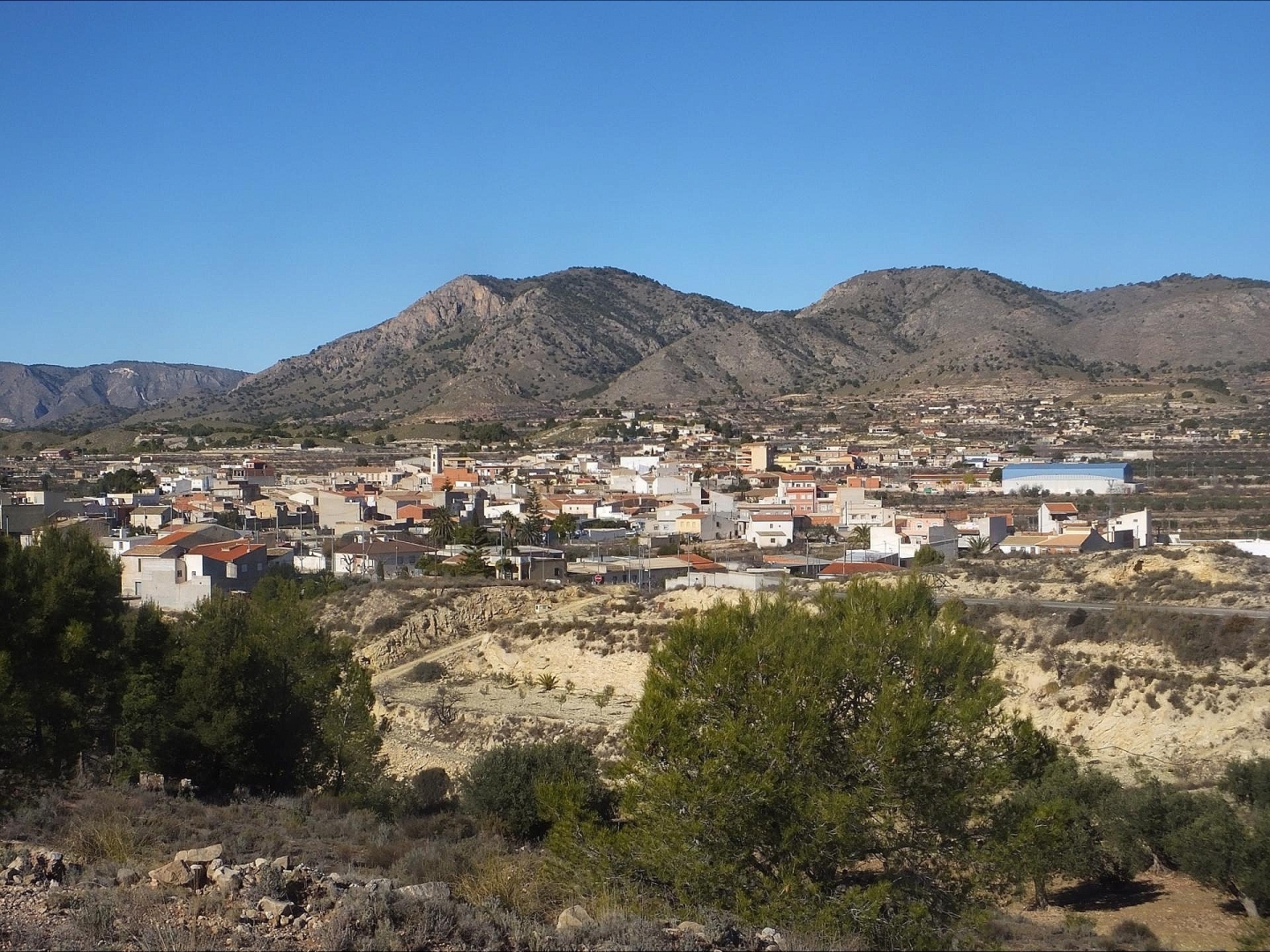 Land in Abanilla